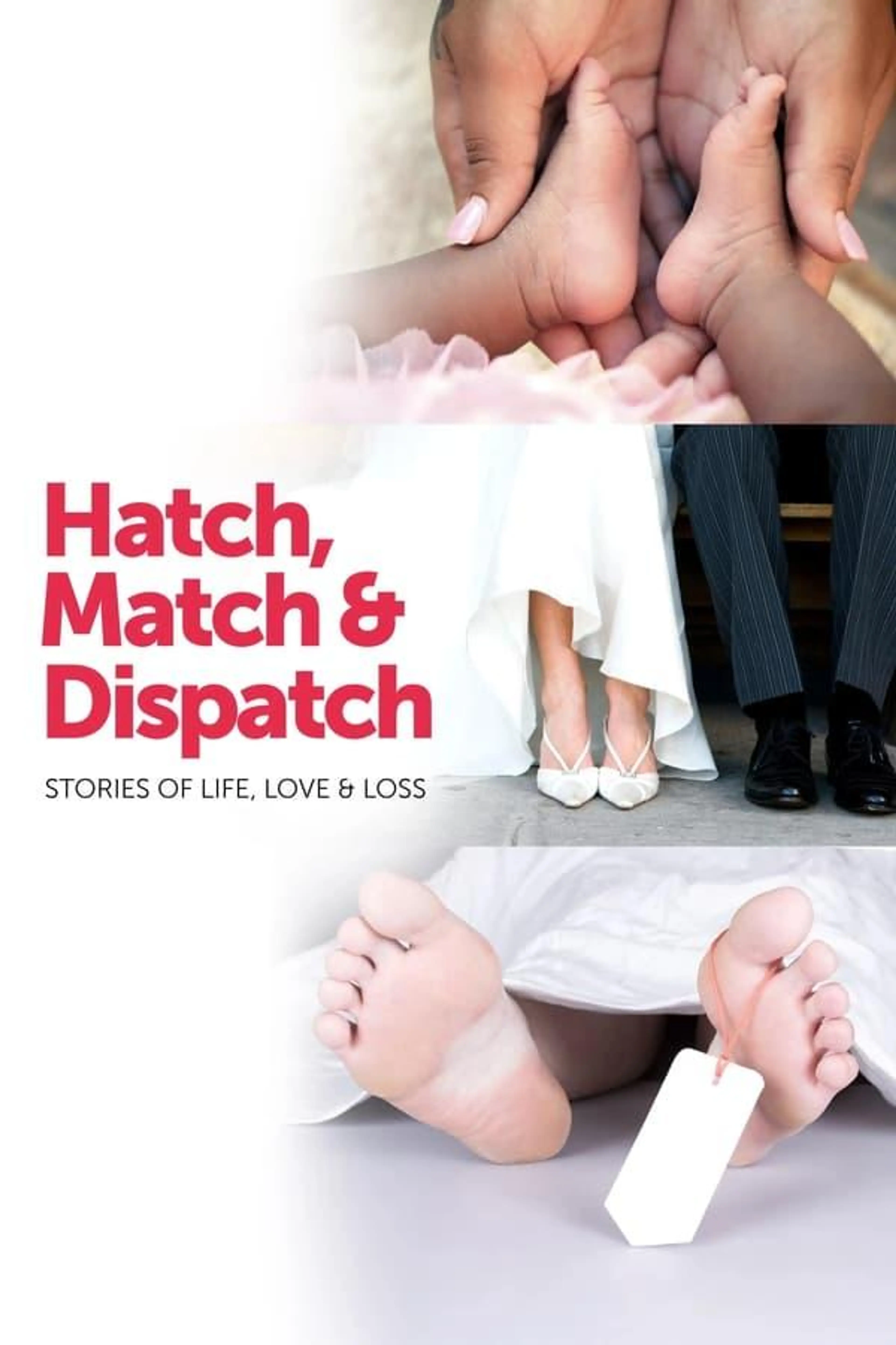 Hatch, Match & Dispatch Series 1