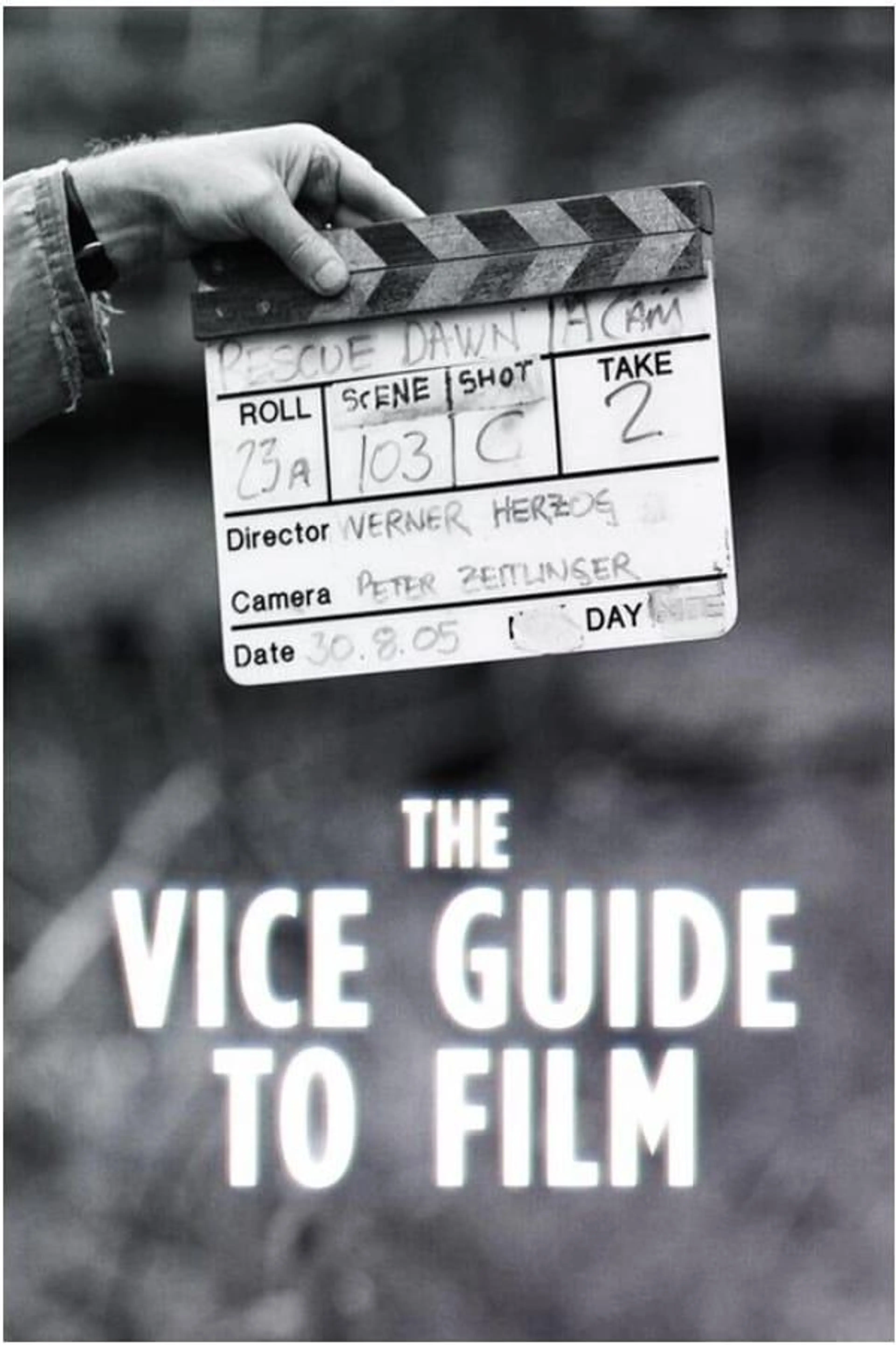 VICE Guide to Film Season 1