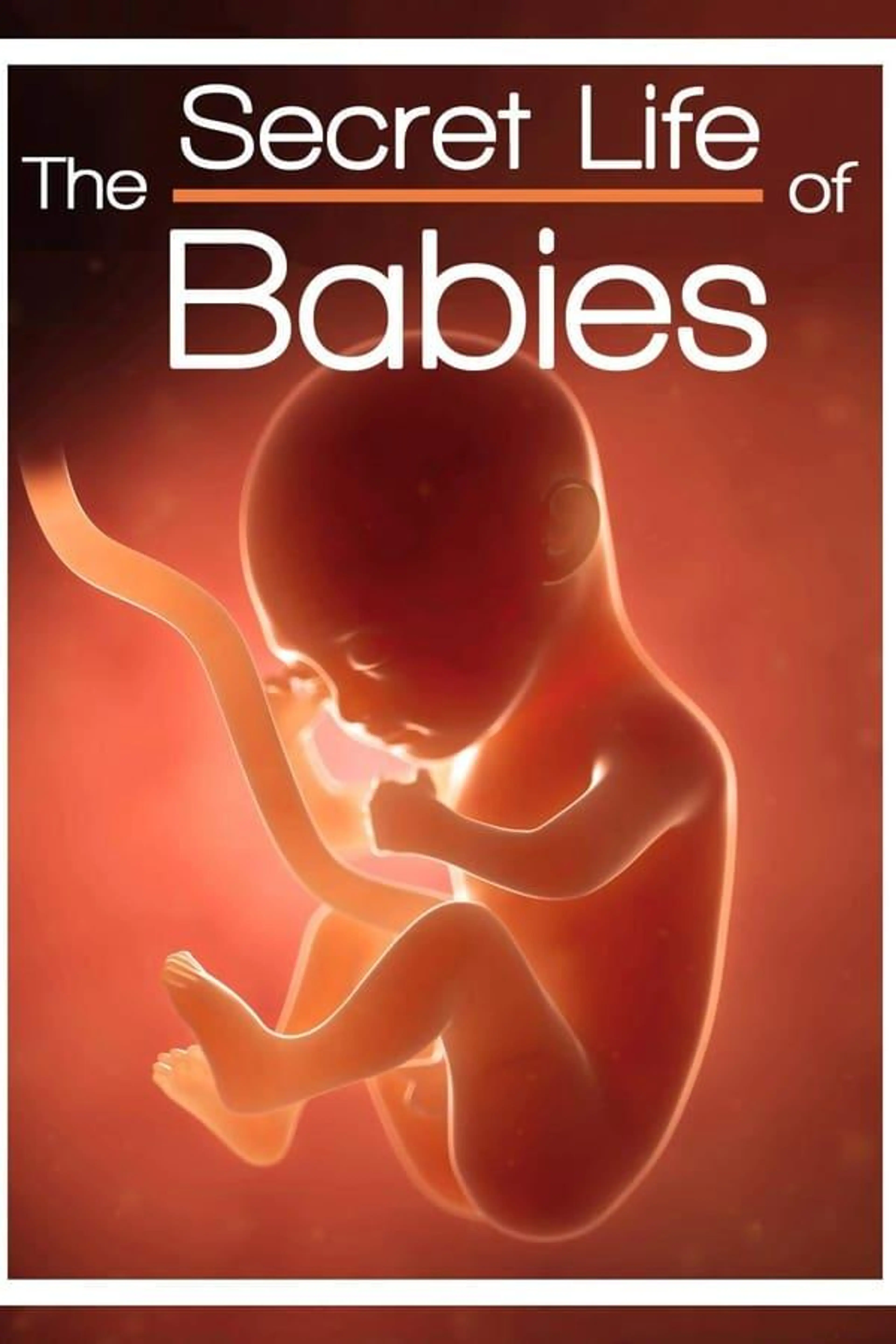 The Secret Life of Babies