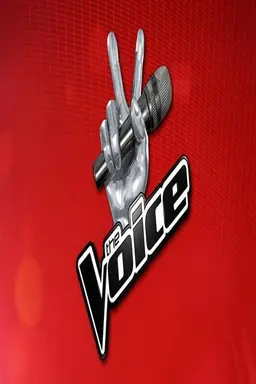 The Voice of Italy Season 4