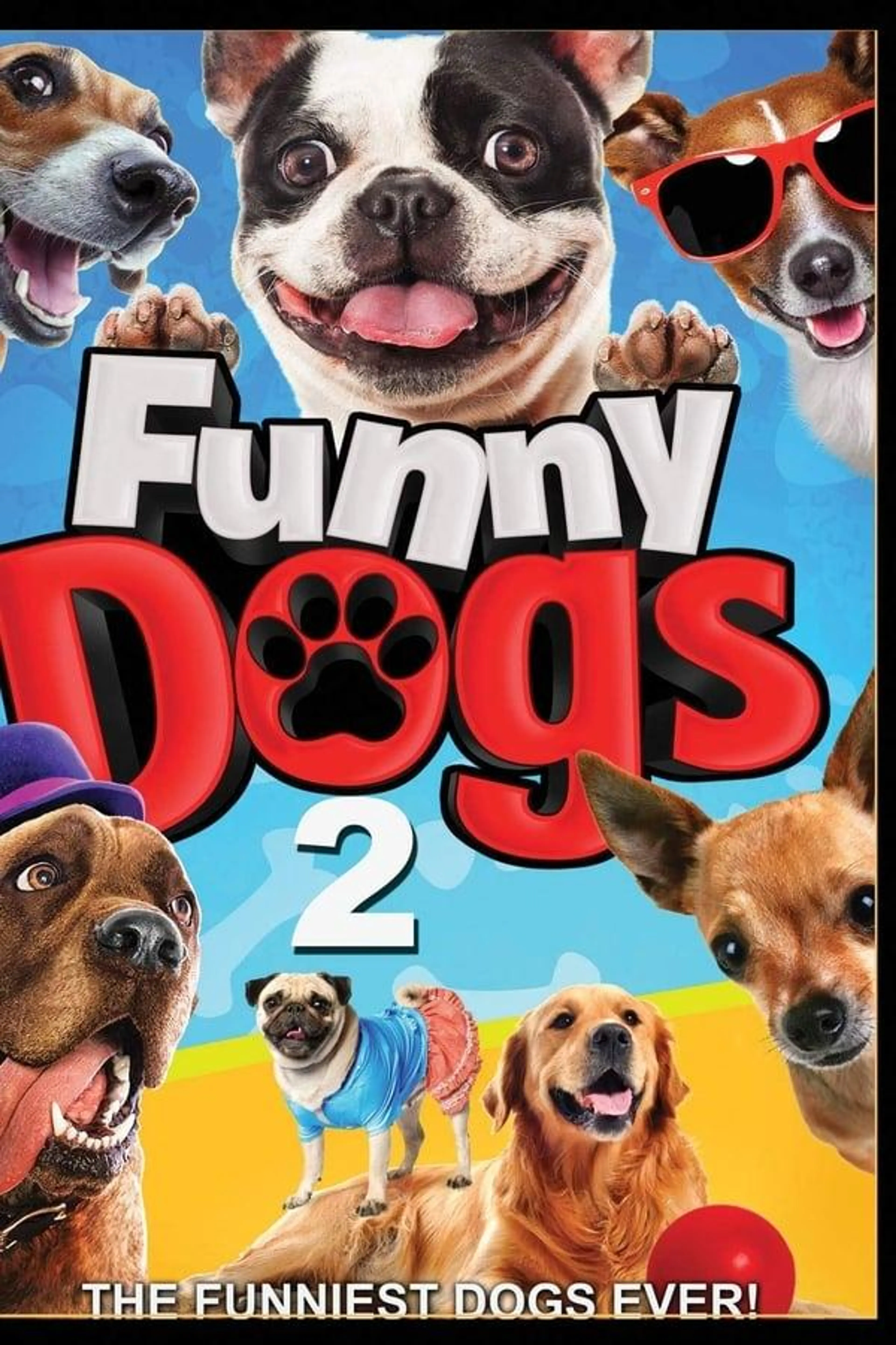 Funny Dogs 2