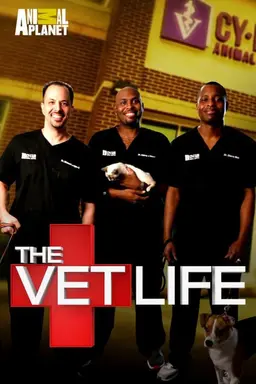 The Vet Life Season 6