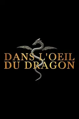 Dans l'oeil du dragon Saison 12