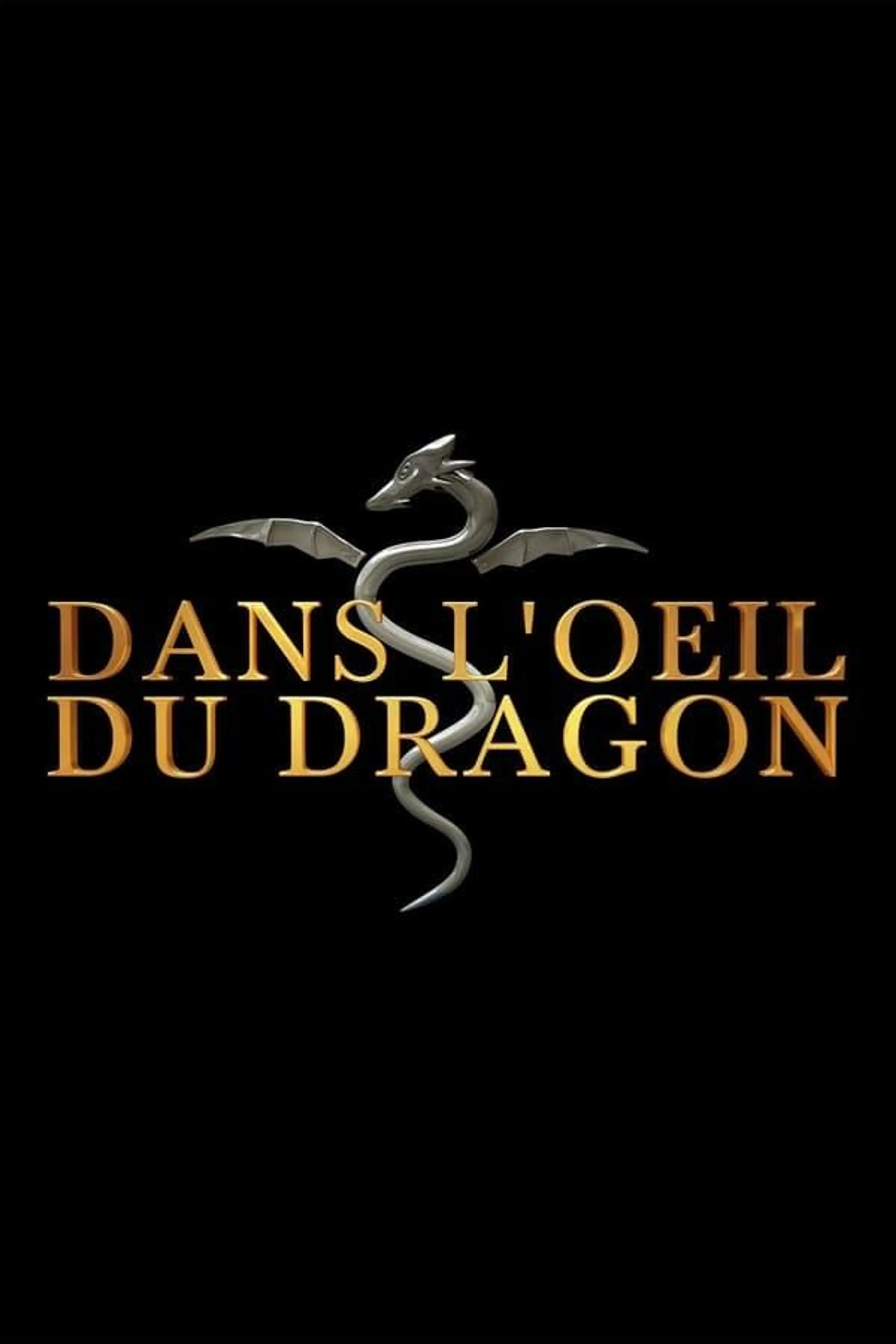 Dans l'oeil du dragon Saison 12