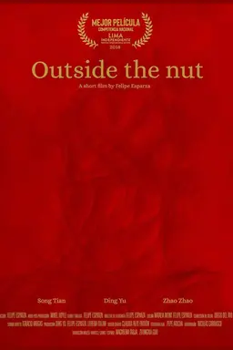 Outside the Nut