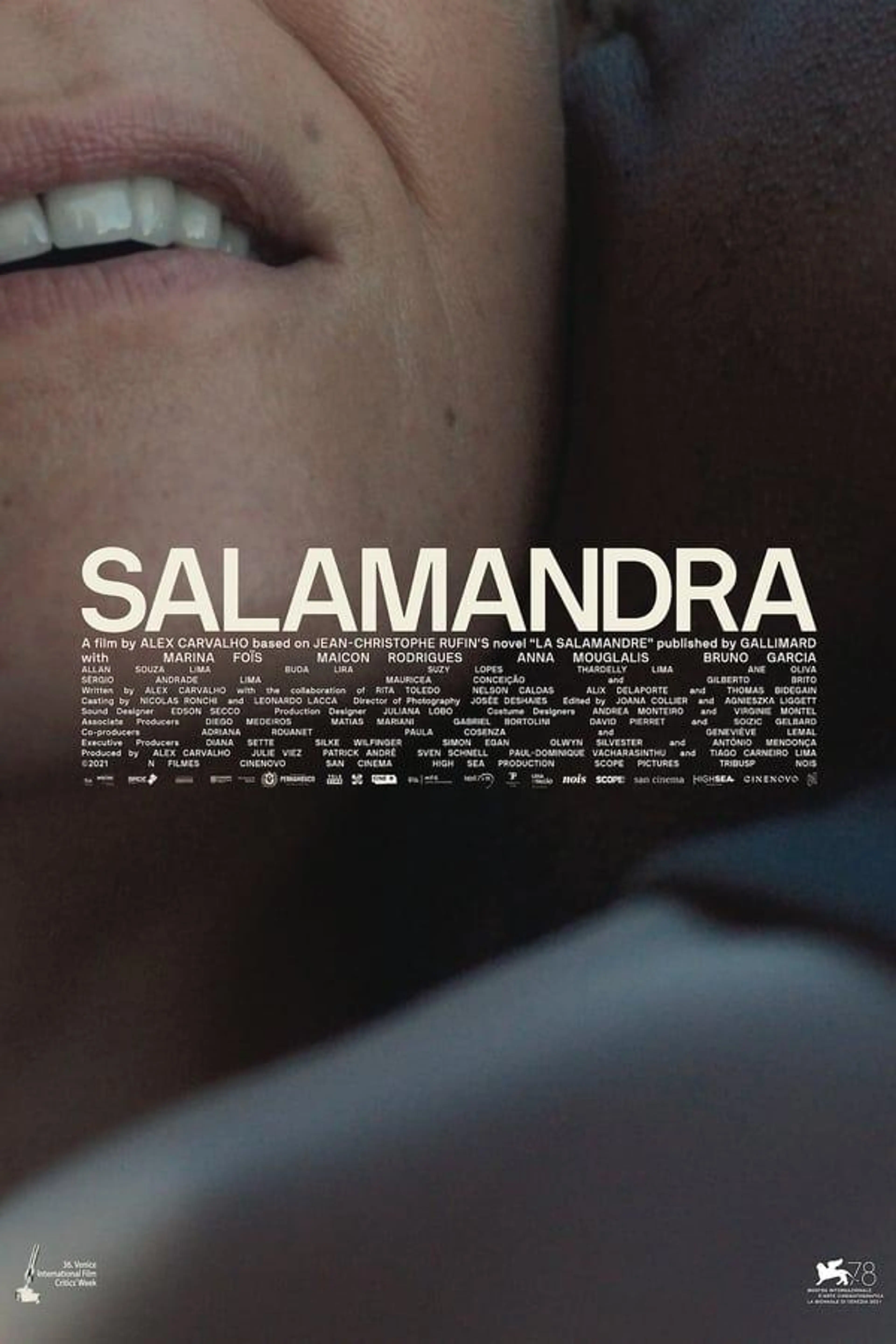 The Salamander