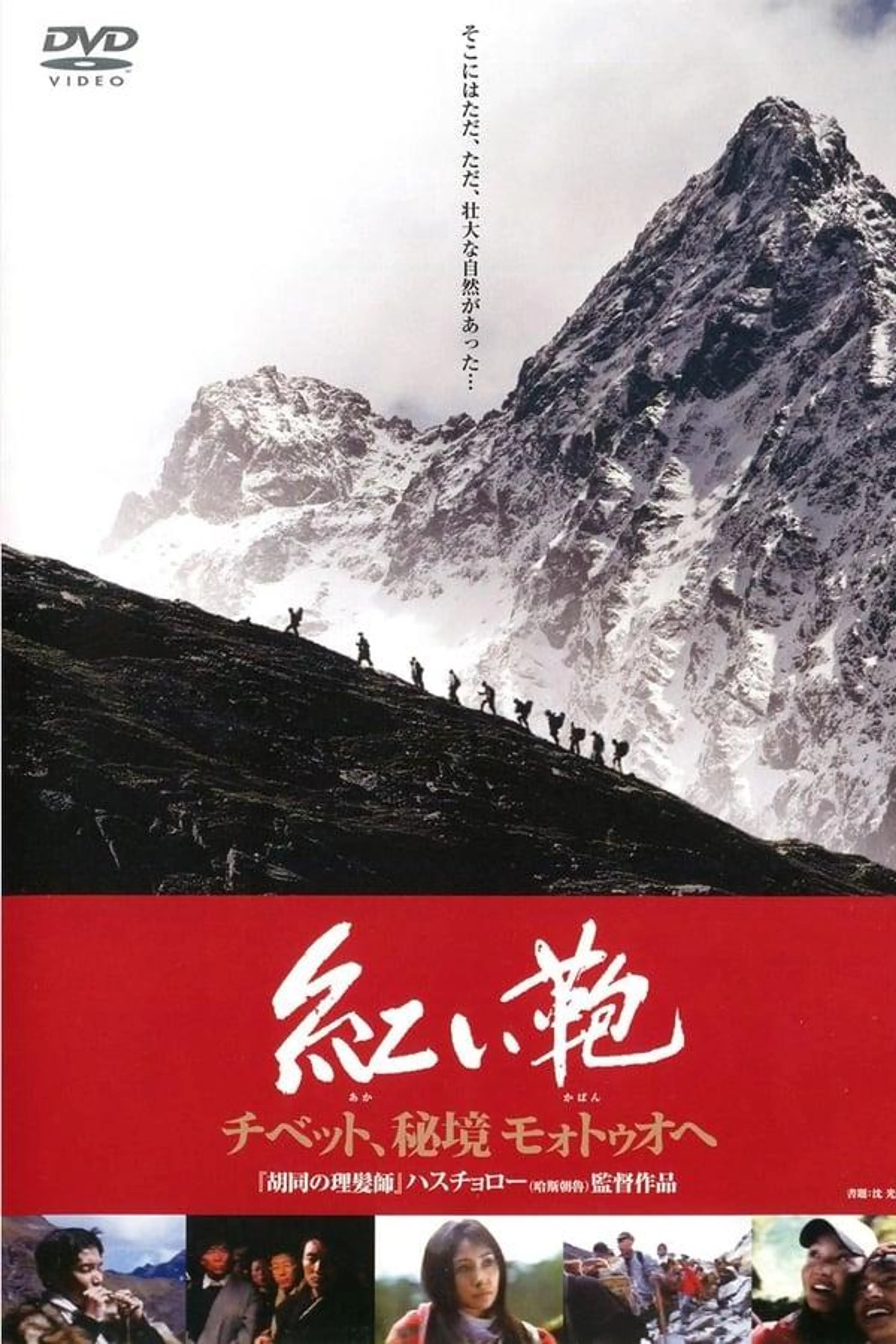 Stirring Trip to Motuo