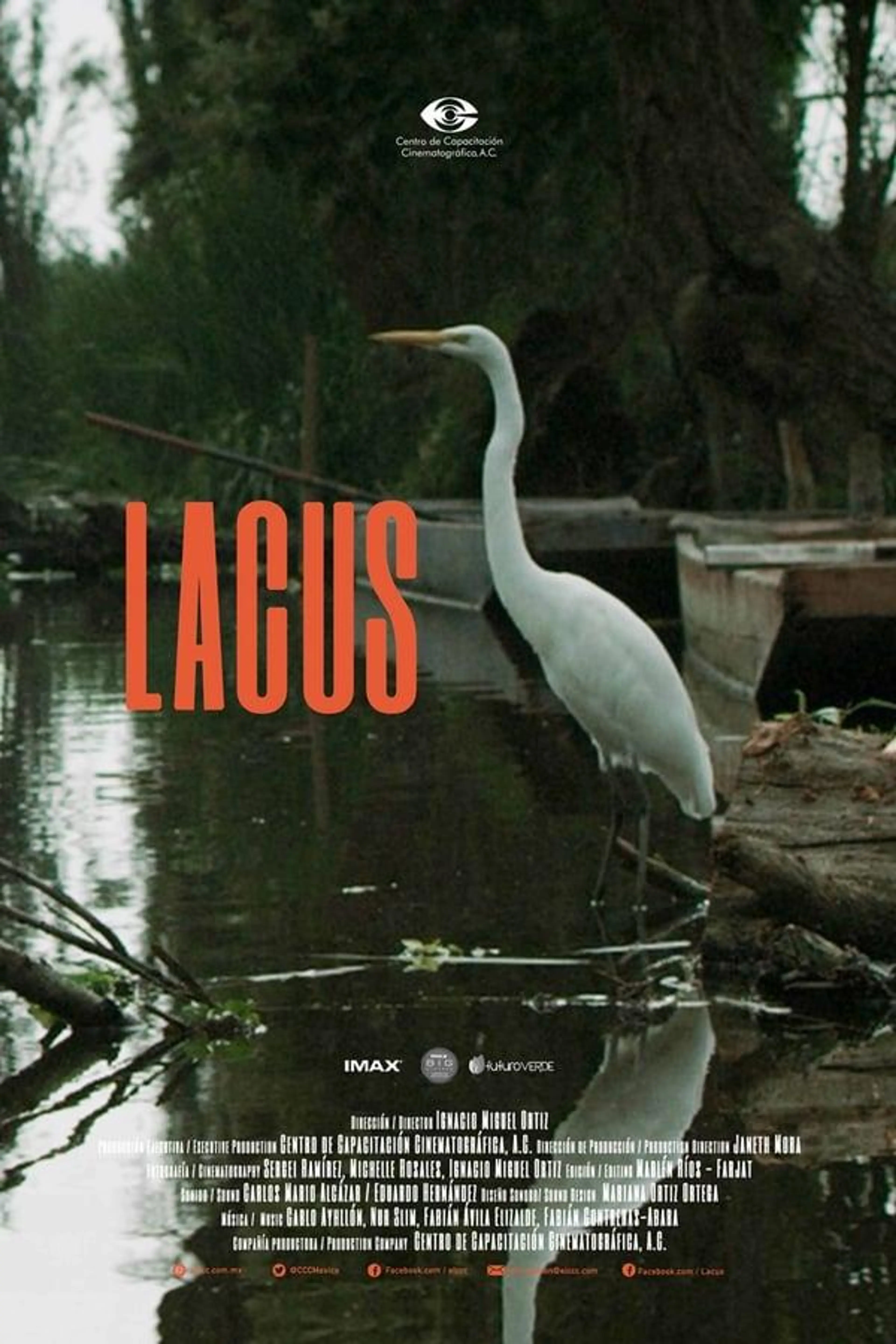 Lacus