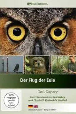 Der Flug der Eule