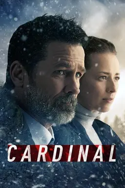 Cardinal Until the Night