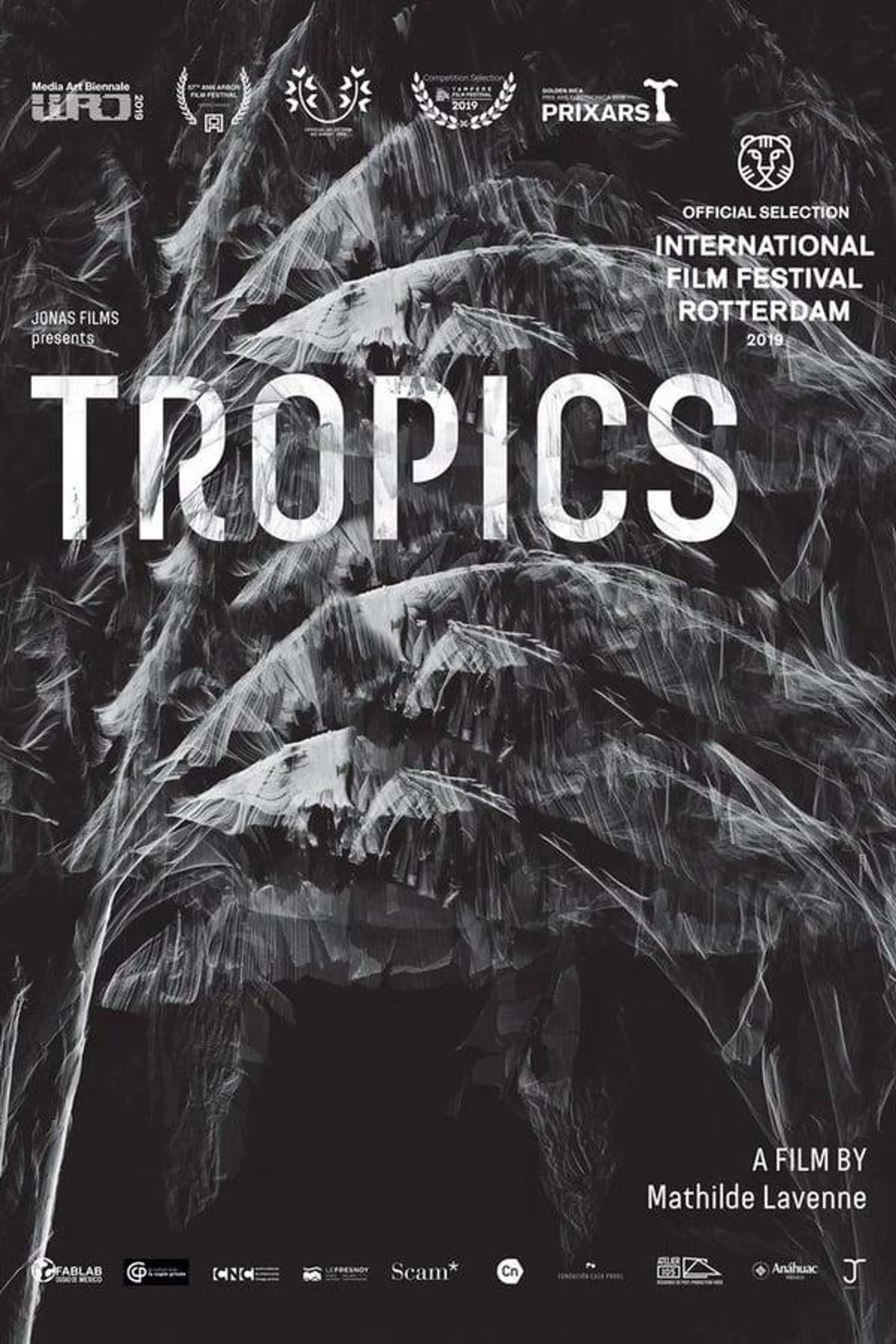 Tropics