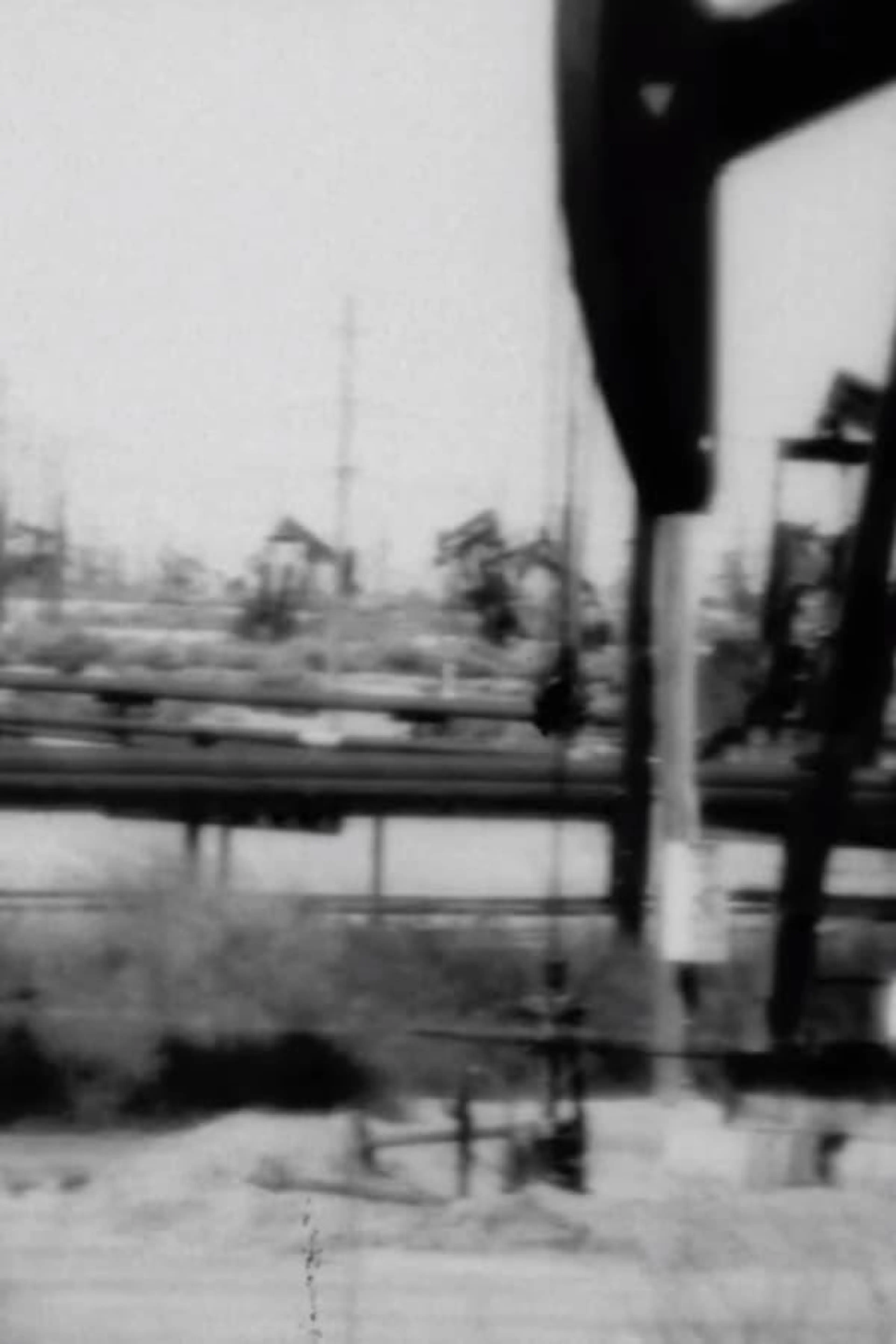 Dailies from Dumpland Part 5