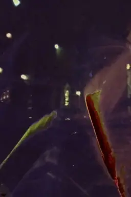 Dailies From Dumpland Part 3