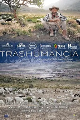 Transhumance