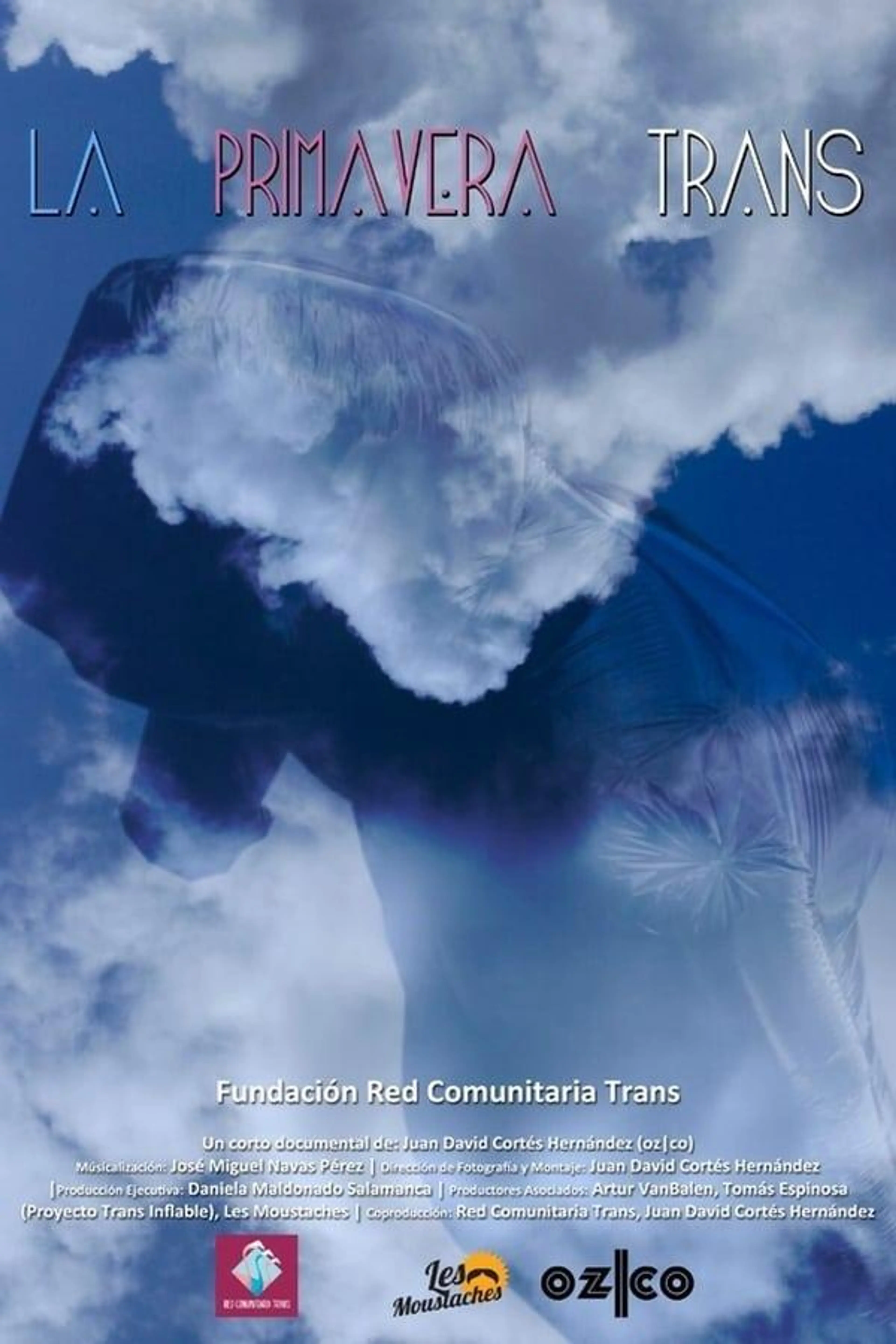 The Transgender Spring