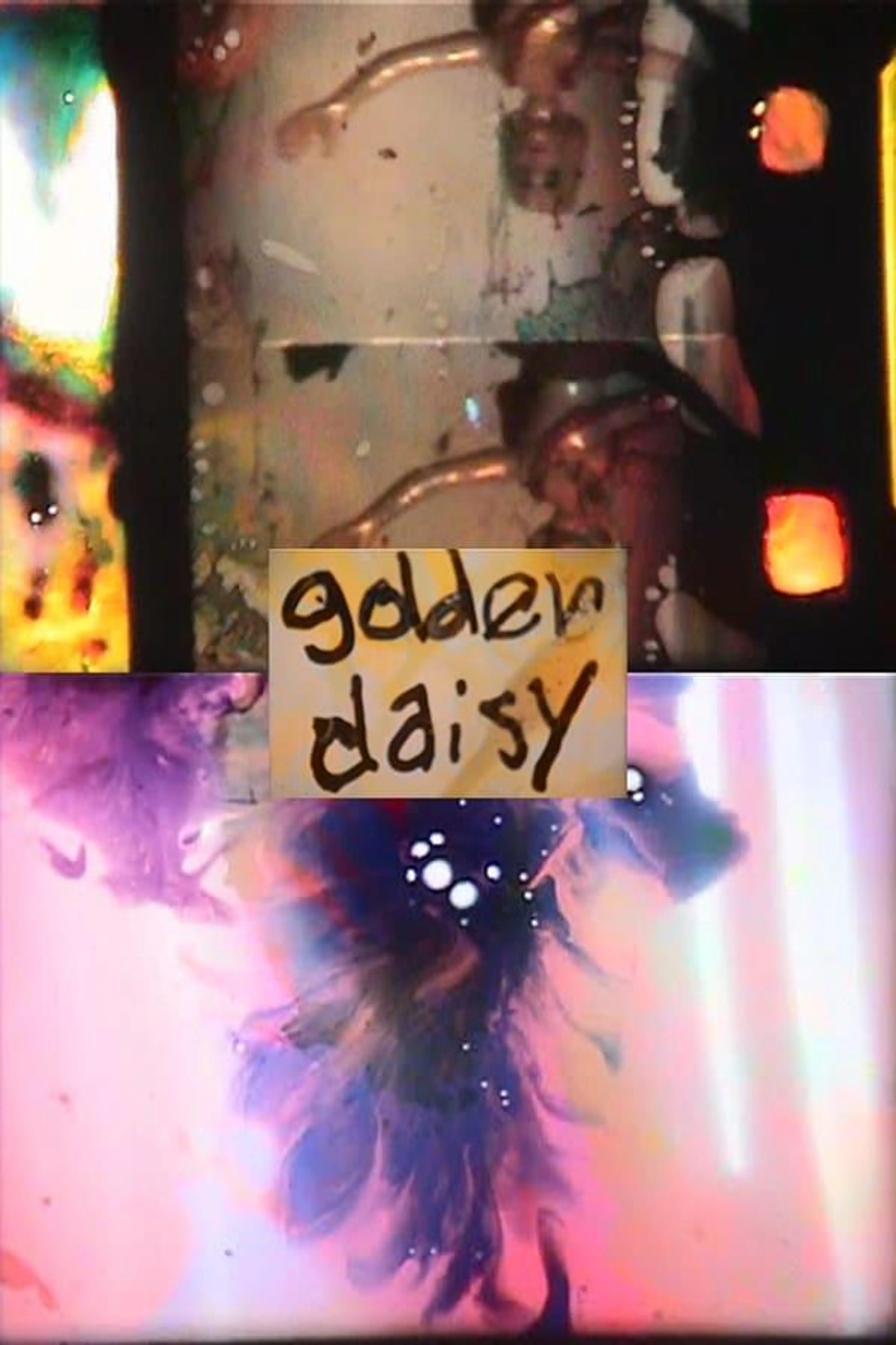Golden Daisy