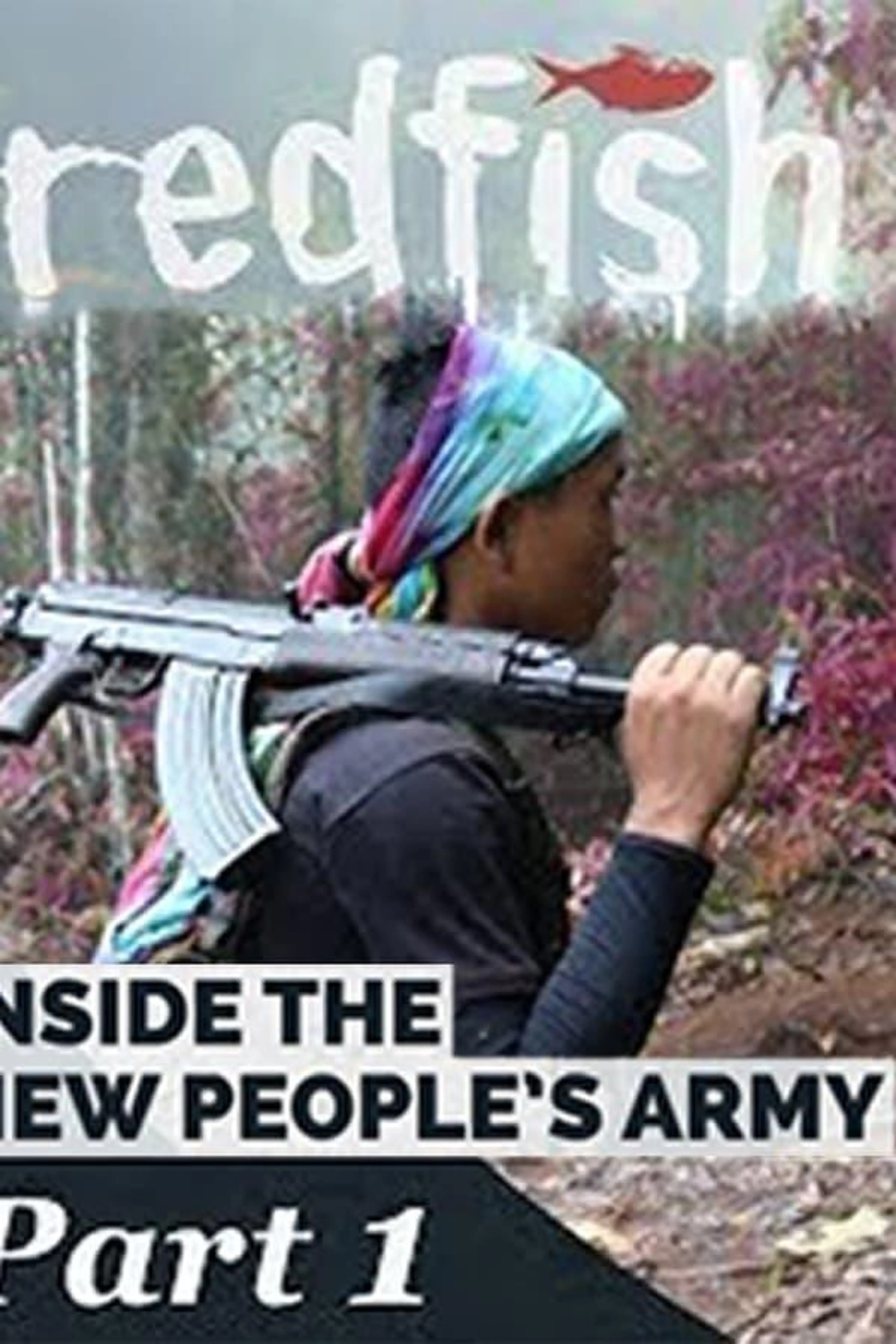 Inside the New People's Army