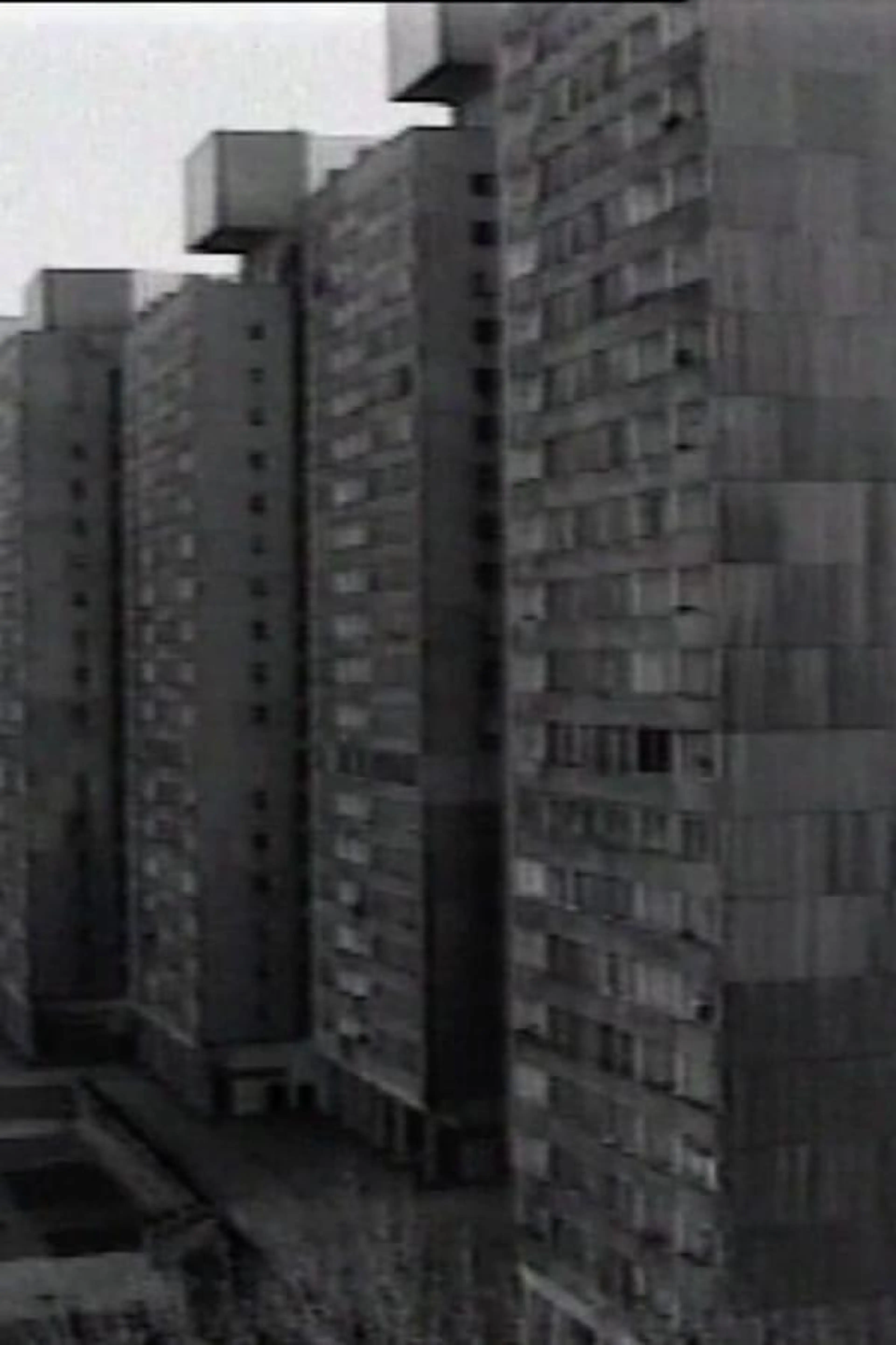 From My Window