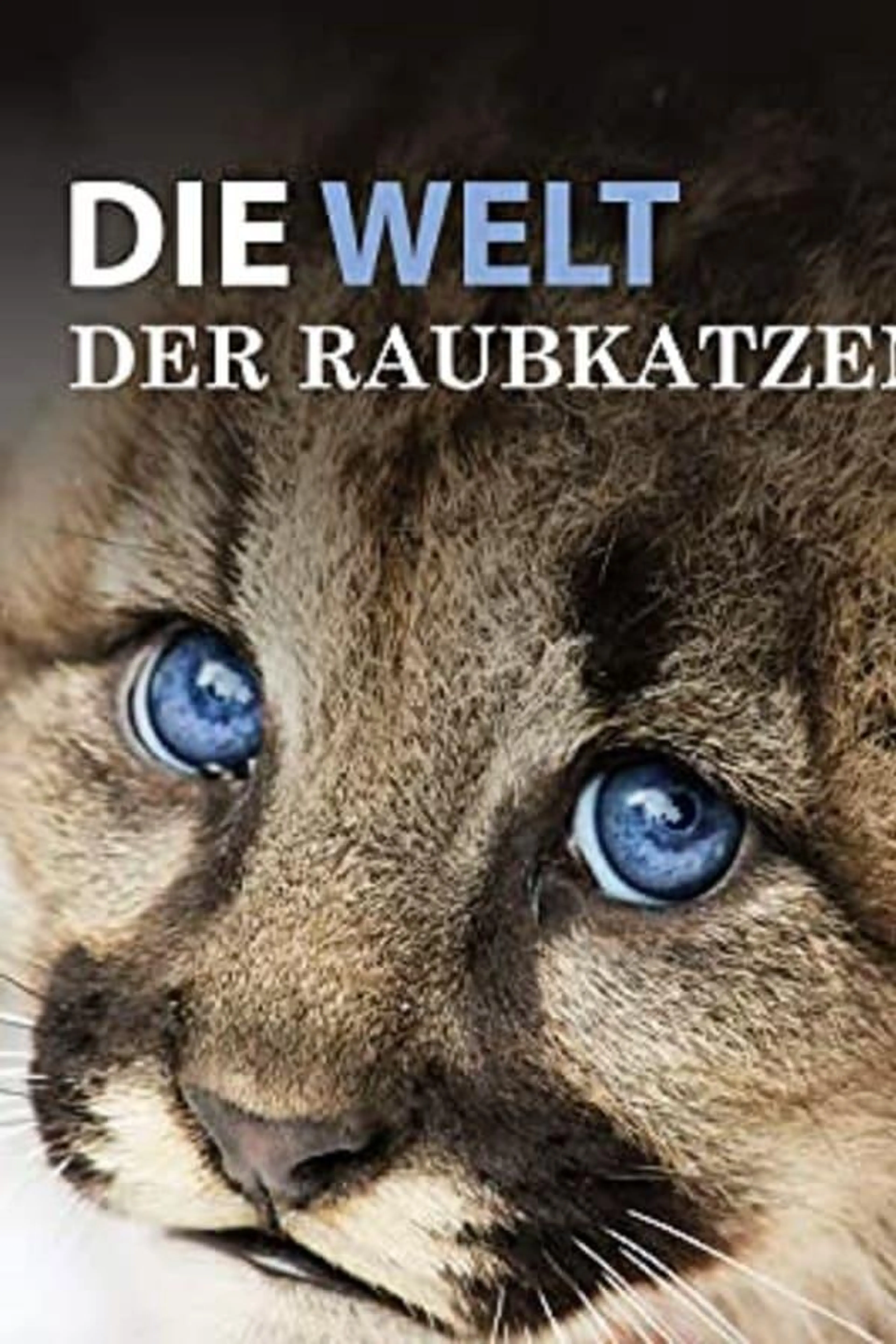 Die Welt der Raubkatzen