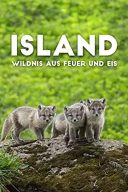 Iceland: Wilderness of Fire and Ice