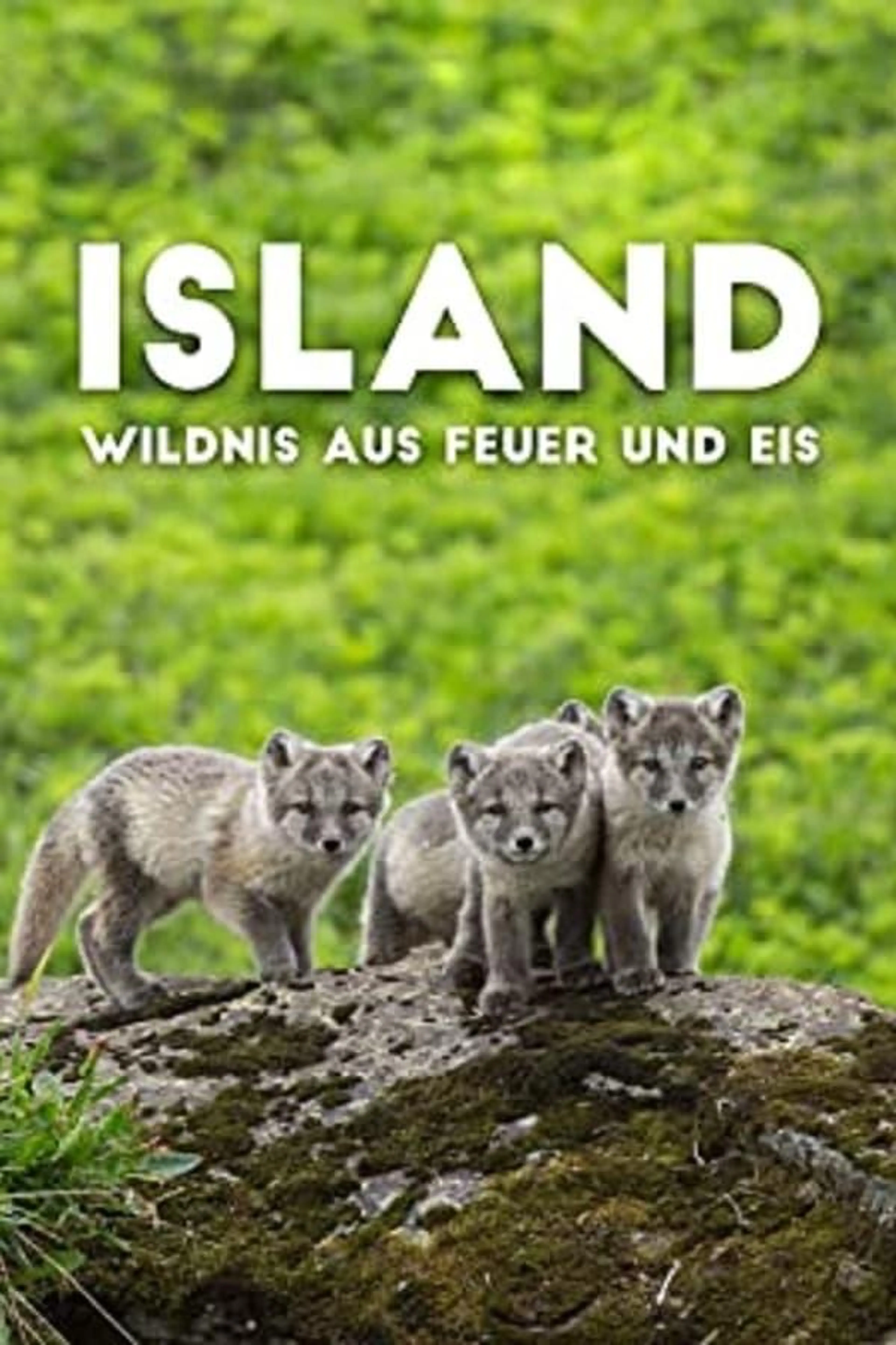 Iceland: Wilderness of Fire and Ice