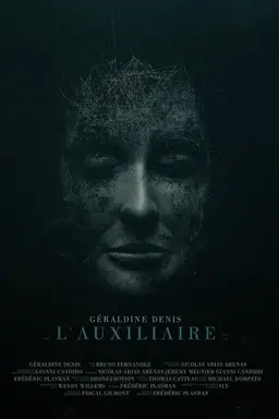 L'auxiliaire