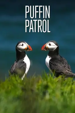 Puffin Patrol