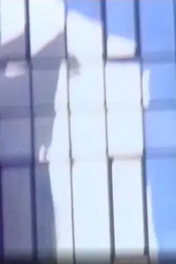 Reflection