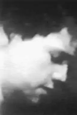 K.I.P.