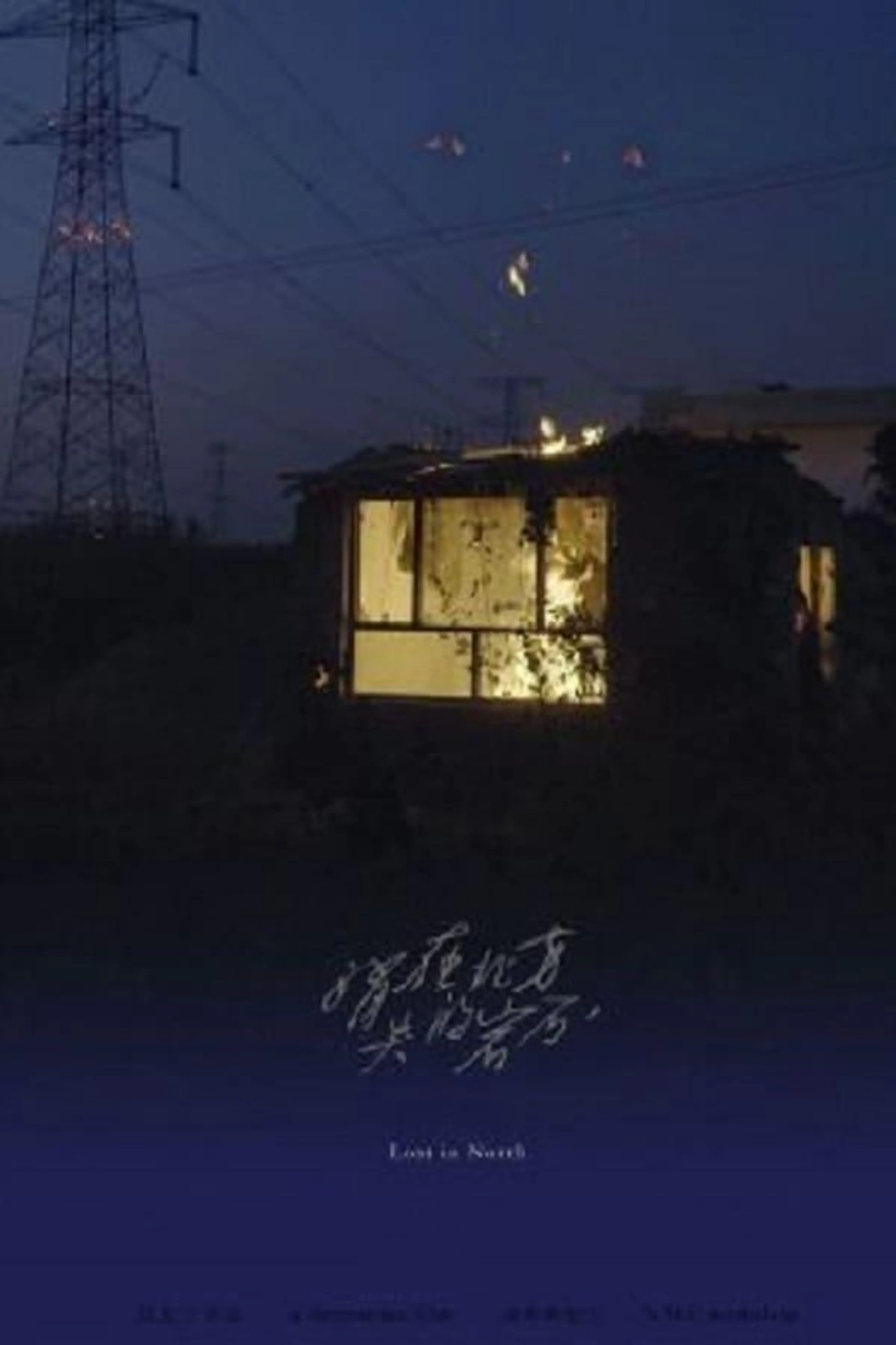 The Stone Lost in North