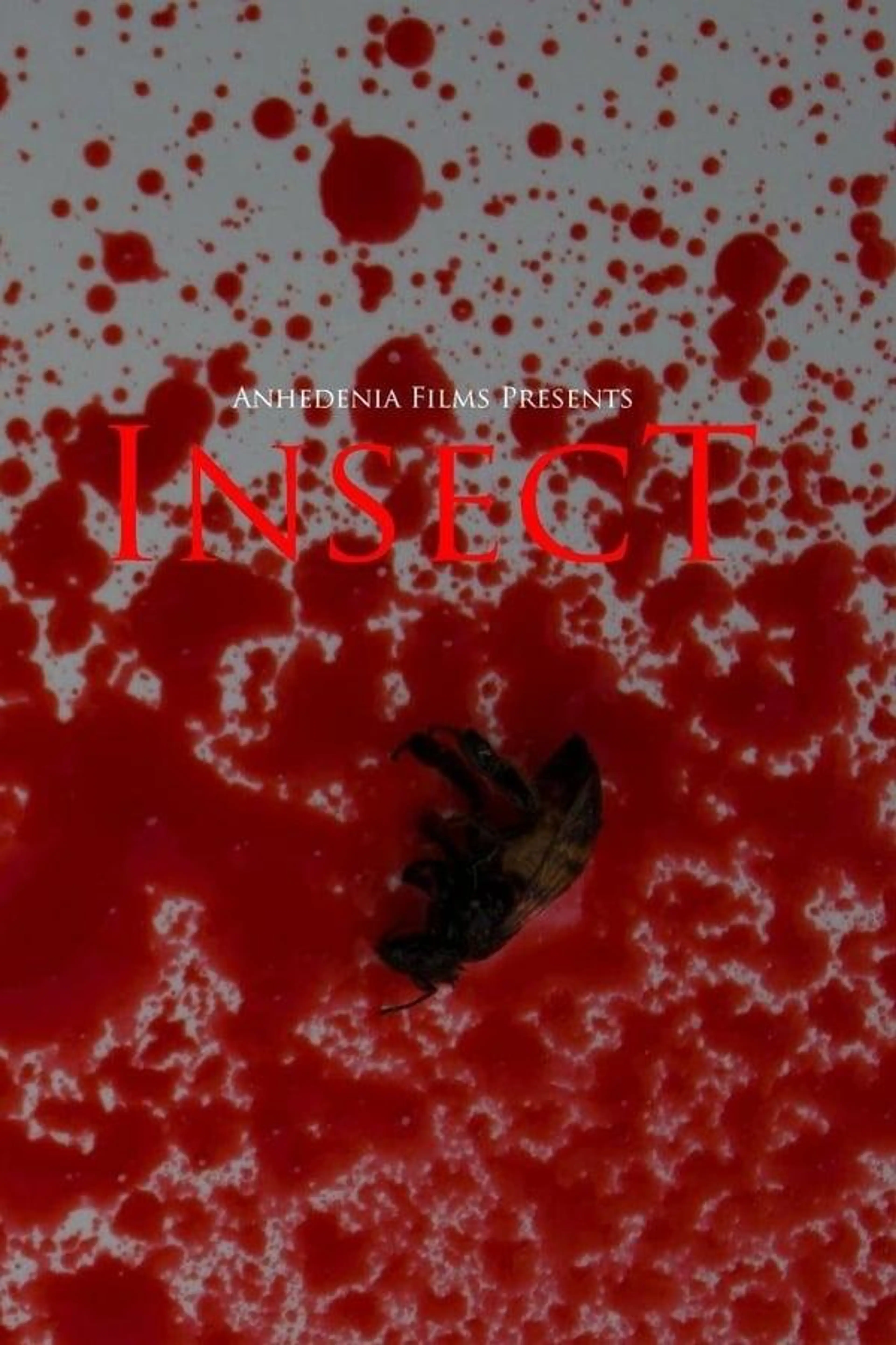 Insect