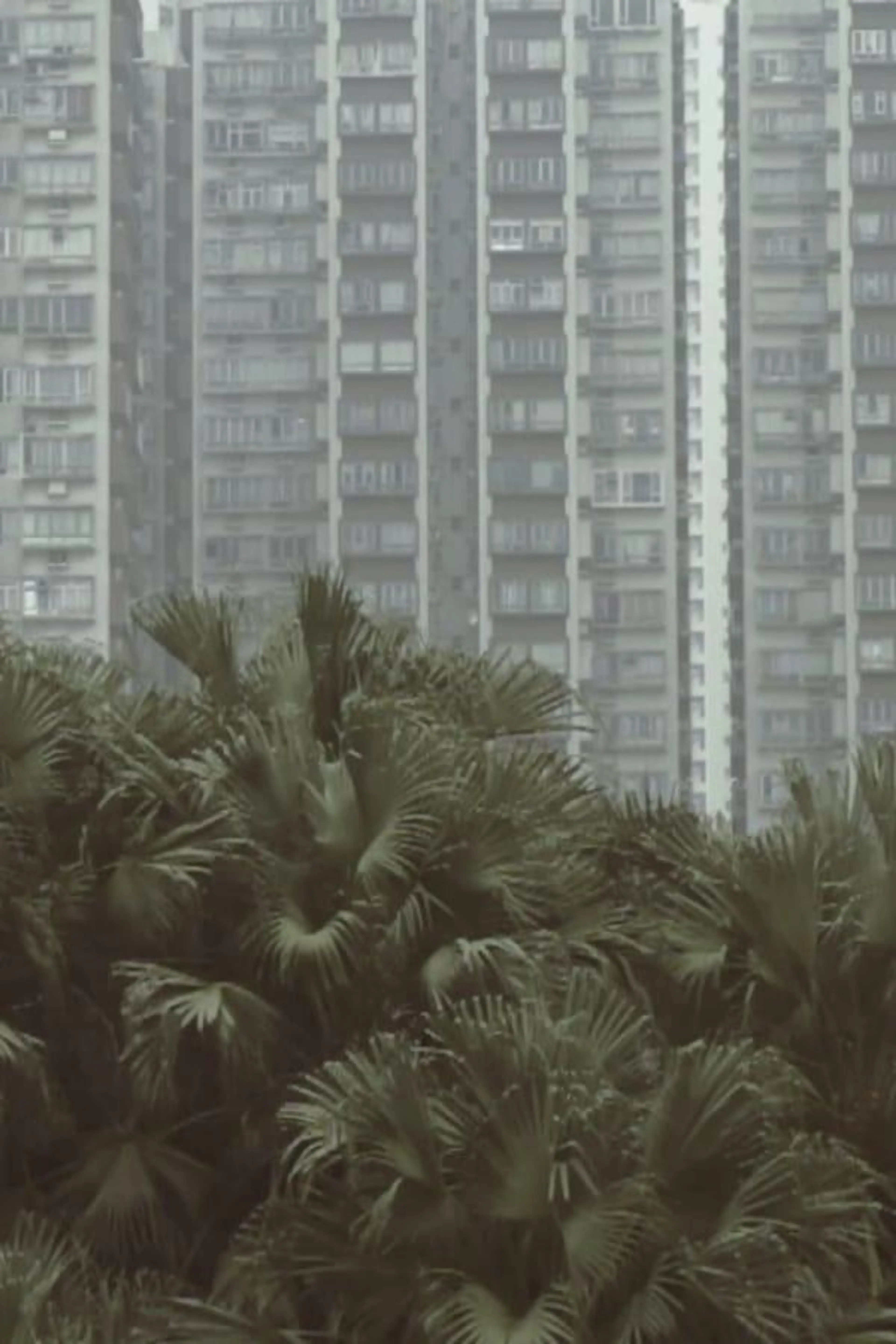 South Horizons