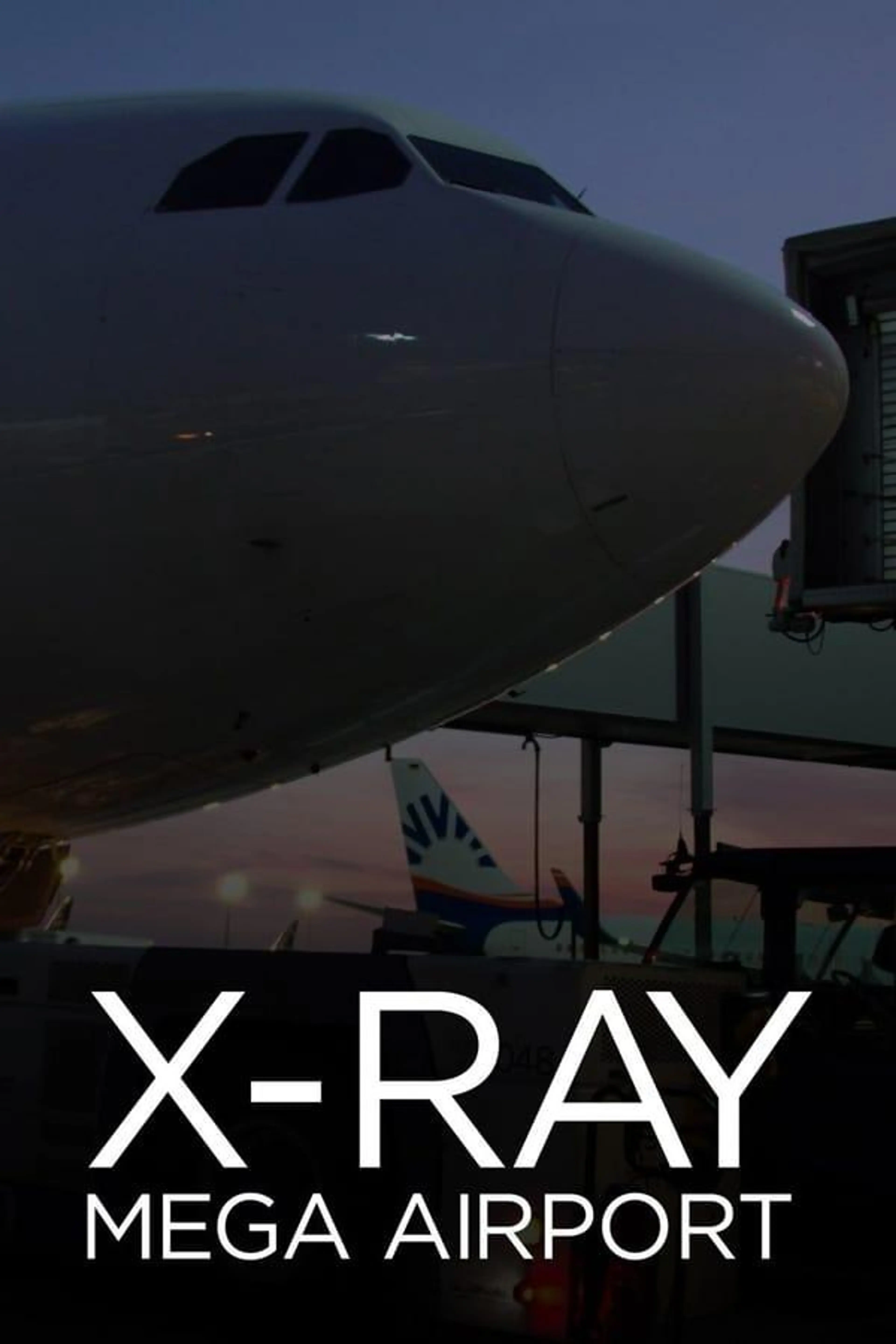 X-Ray Mega Airport Race Against the Clock