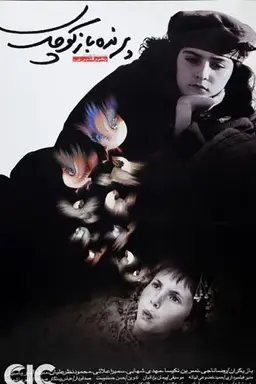 The Little Bird Boy