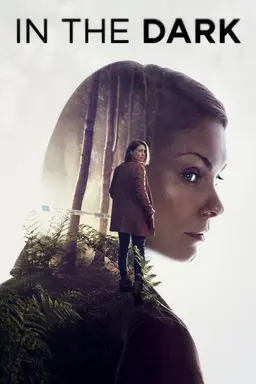 In the Dark Miniseries