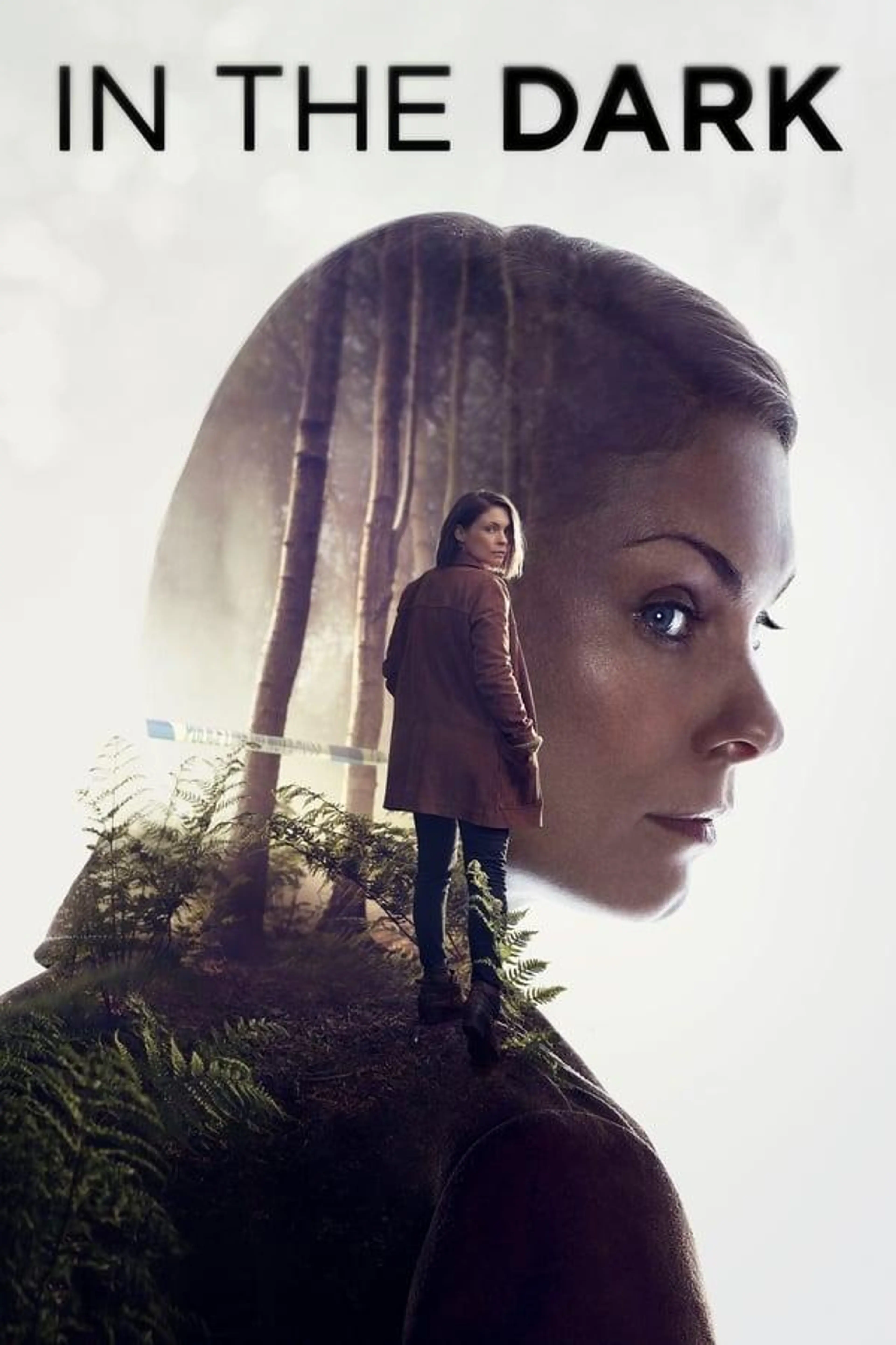 In the Dark Miniseries