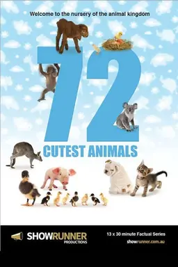 72 Cutest Animals Season 1