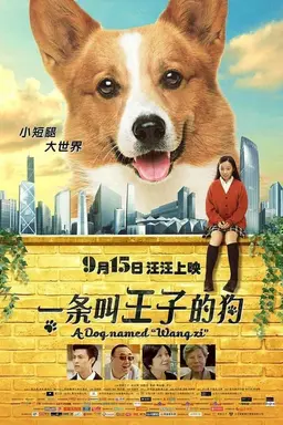 A Dog Named Wang Zi