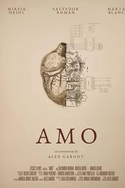 Amo