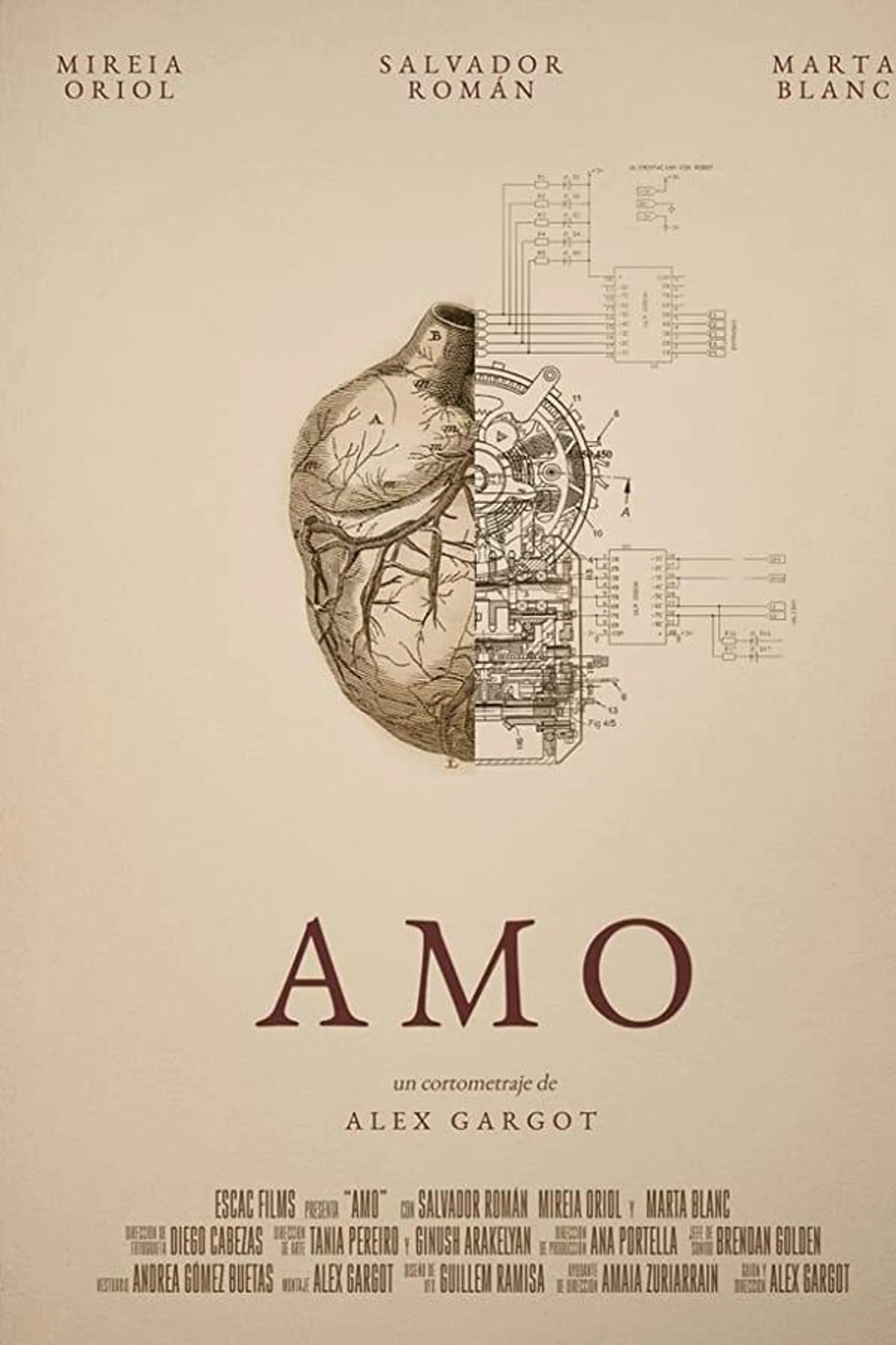 Amo