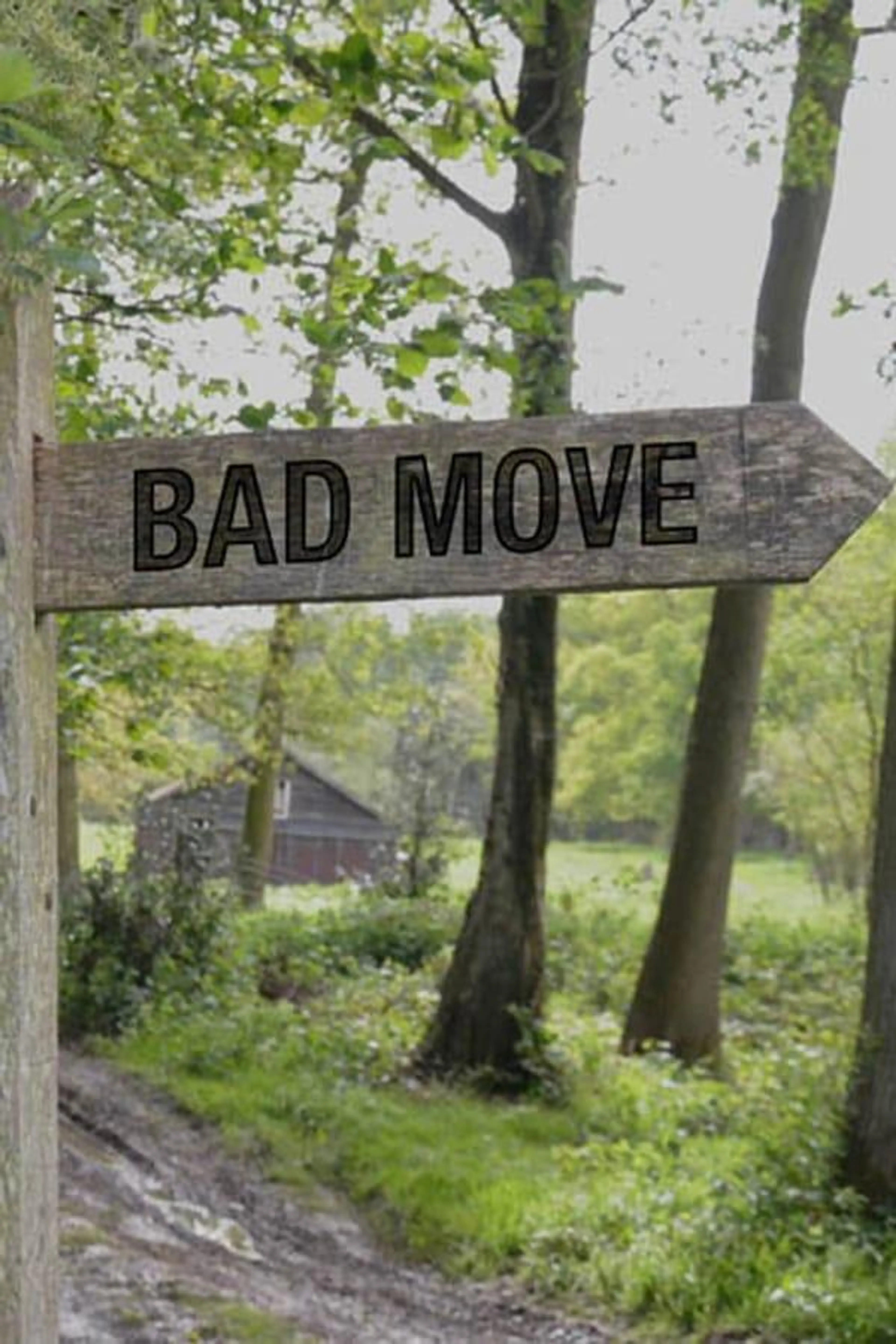 Bad Move Series 2