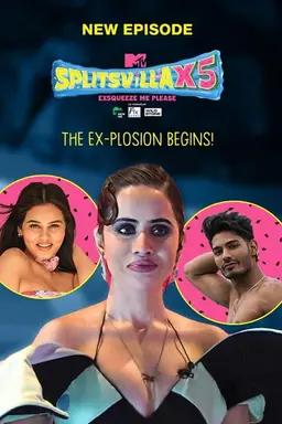 MTV Splitsvilla Season 2