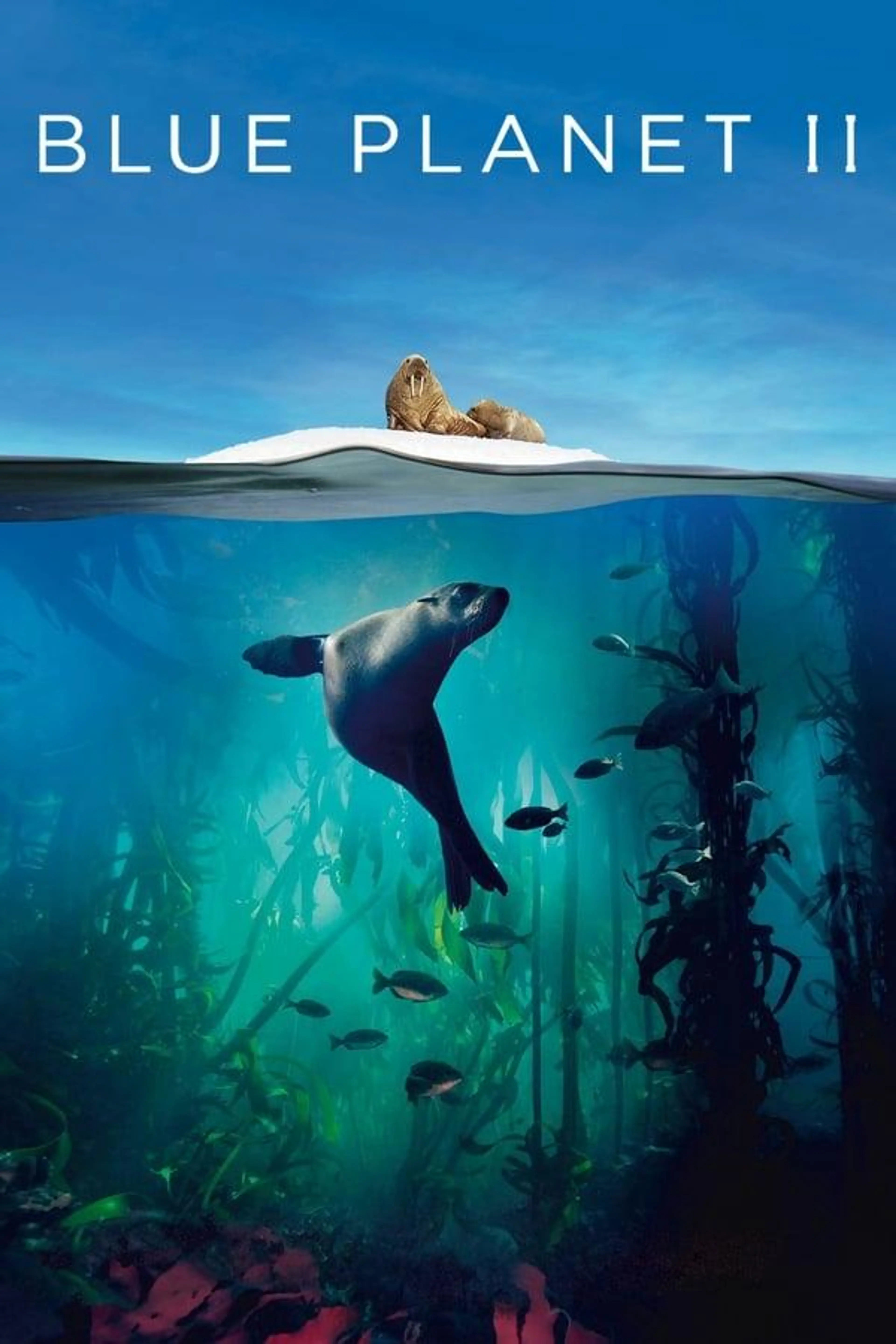 Blue Planet II Specials