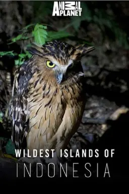 Wildest Islands of Indonesia Season 1