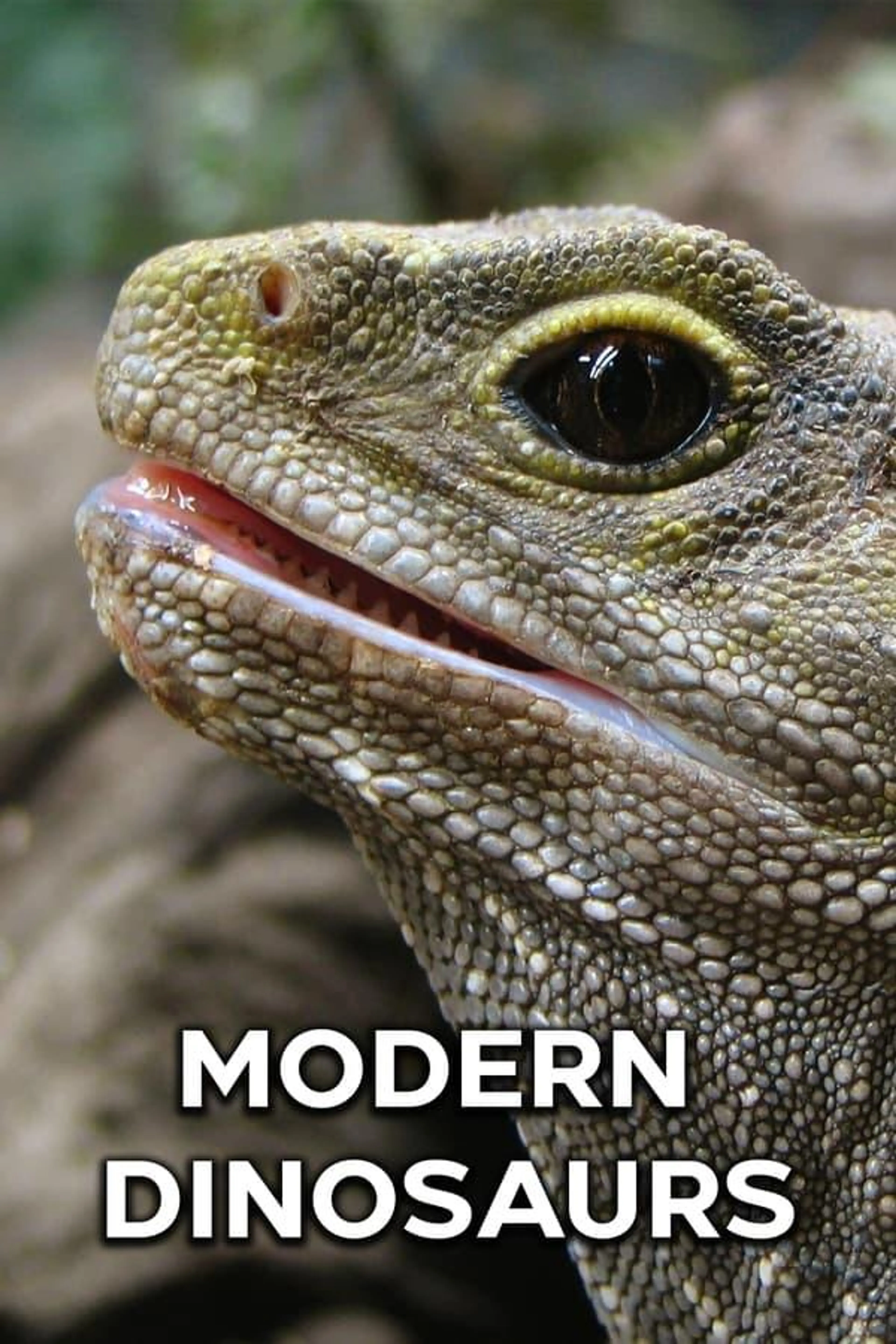 Modern Dinosaurs Miniseries