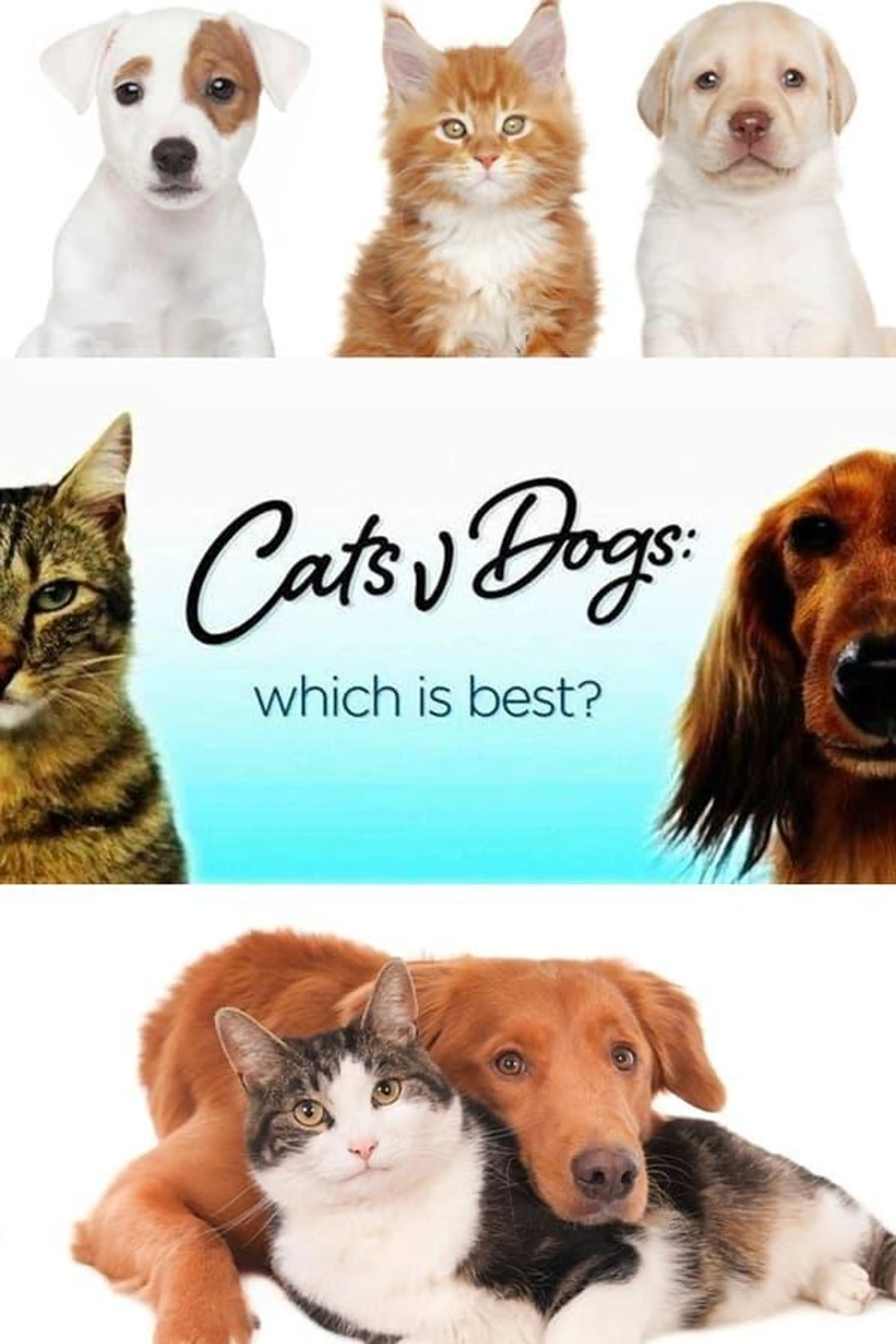 Cats v Dogs: Which is Best? Season 1