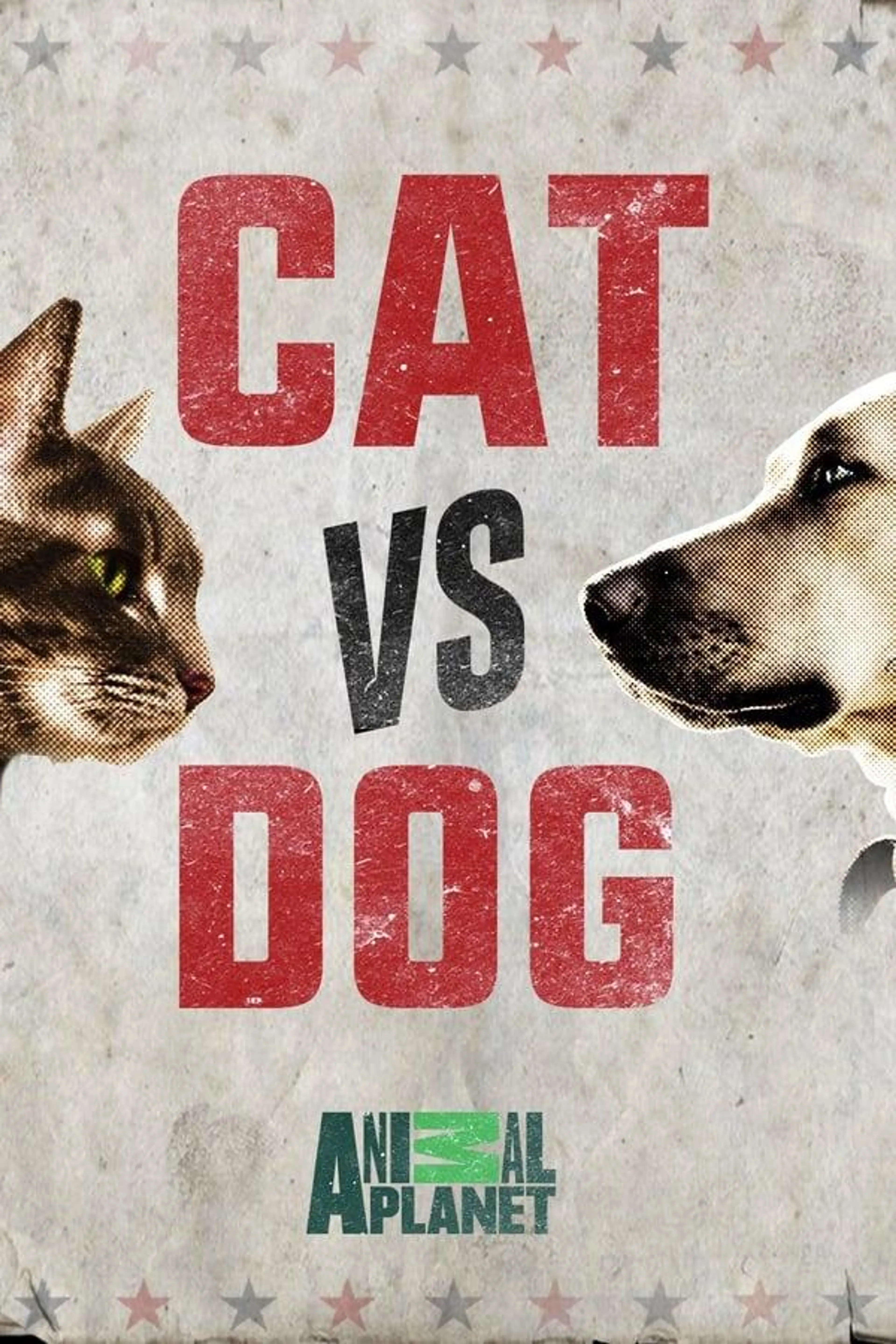 Cat vs. Dog Season 1