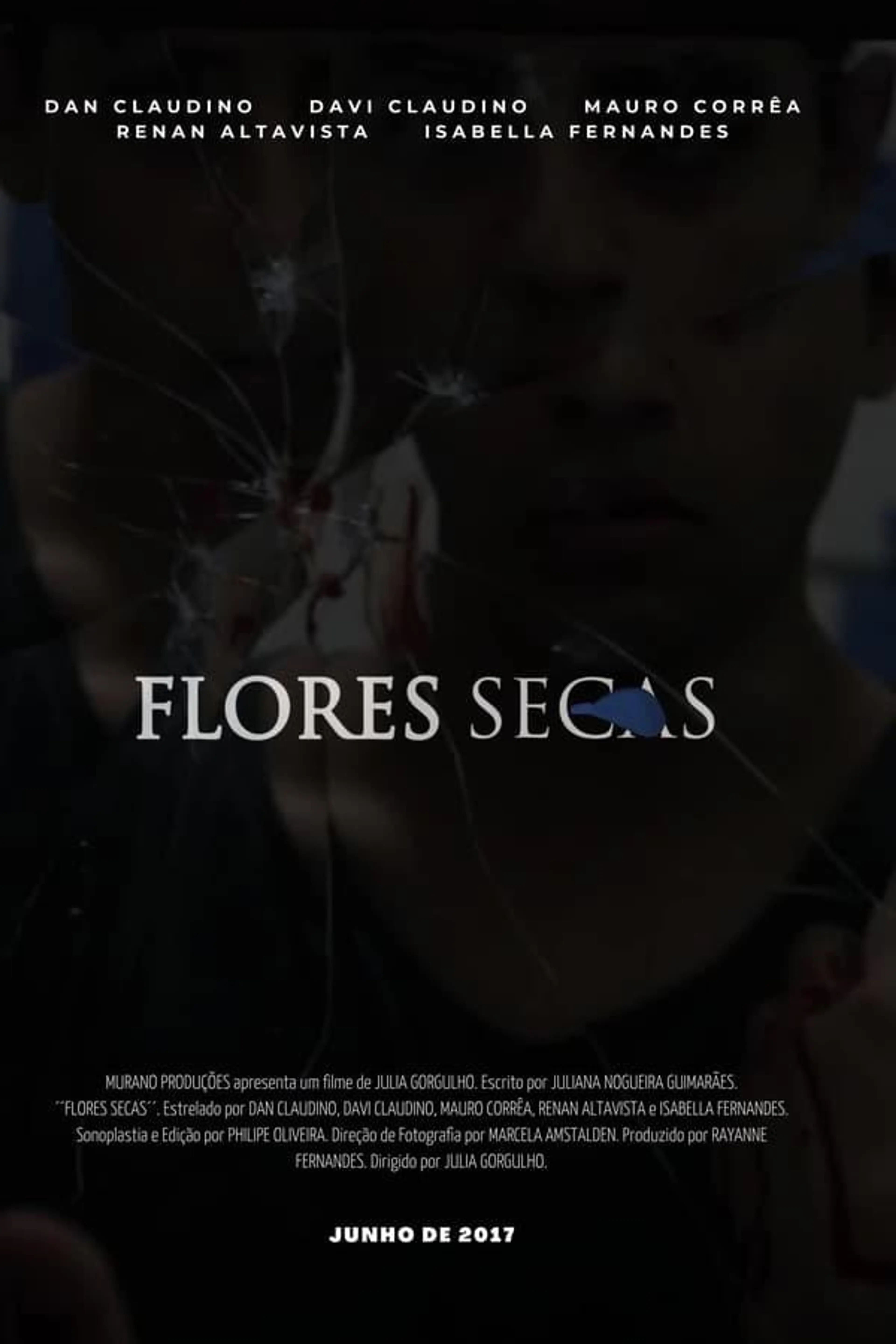 Dry Flowers
