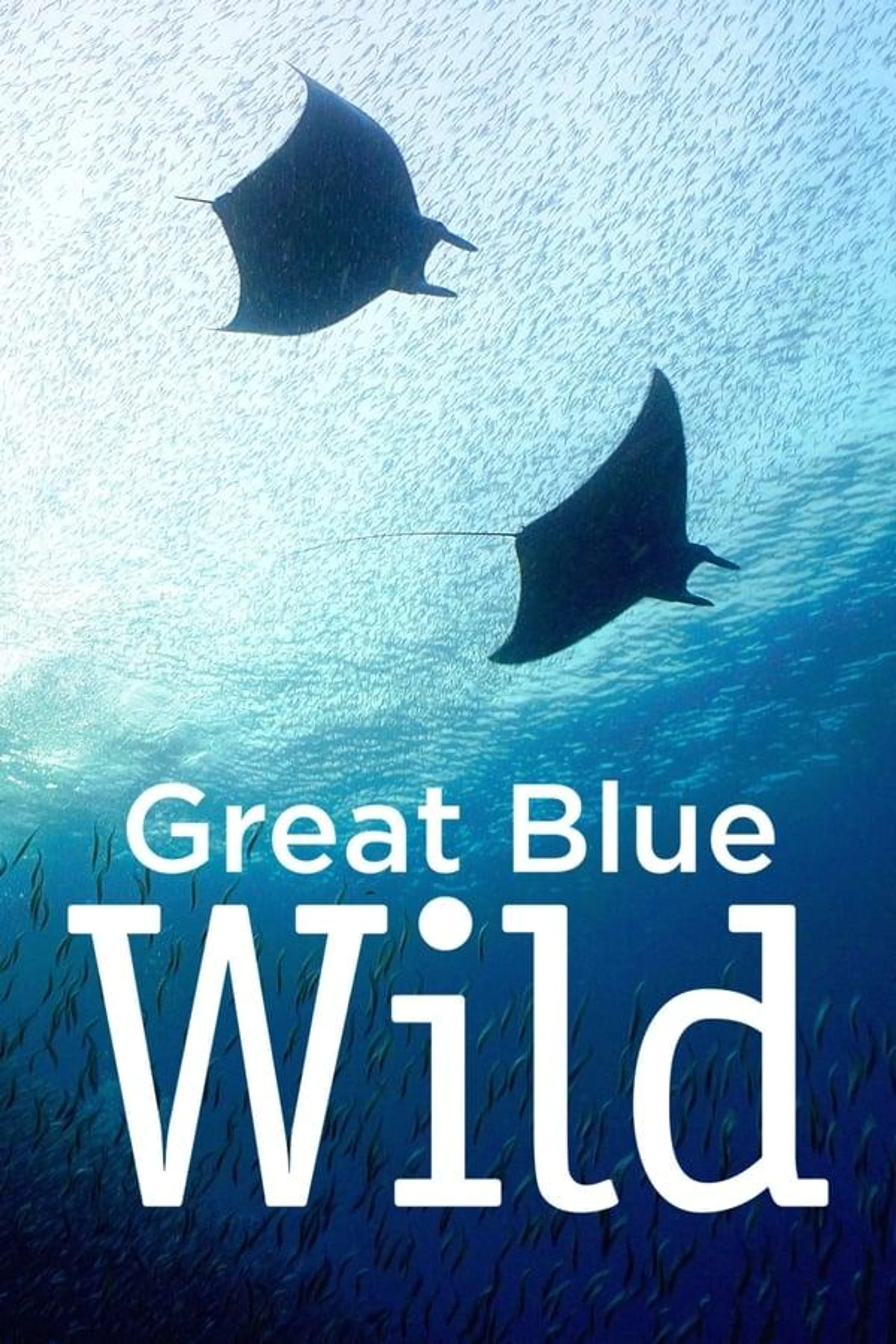 Great Blue Wild Season 2