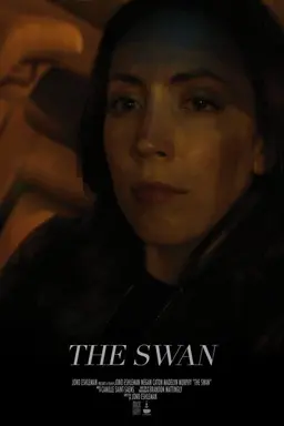 The Swan